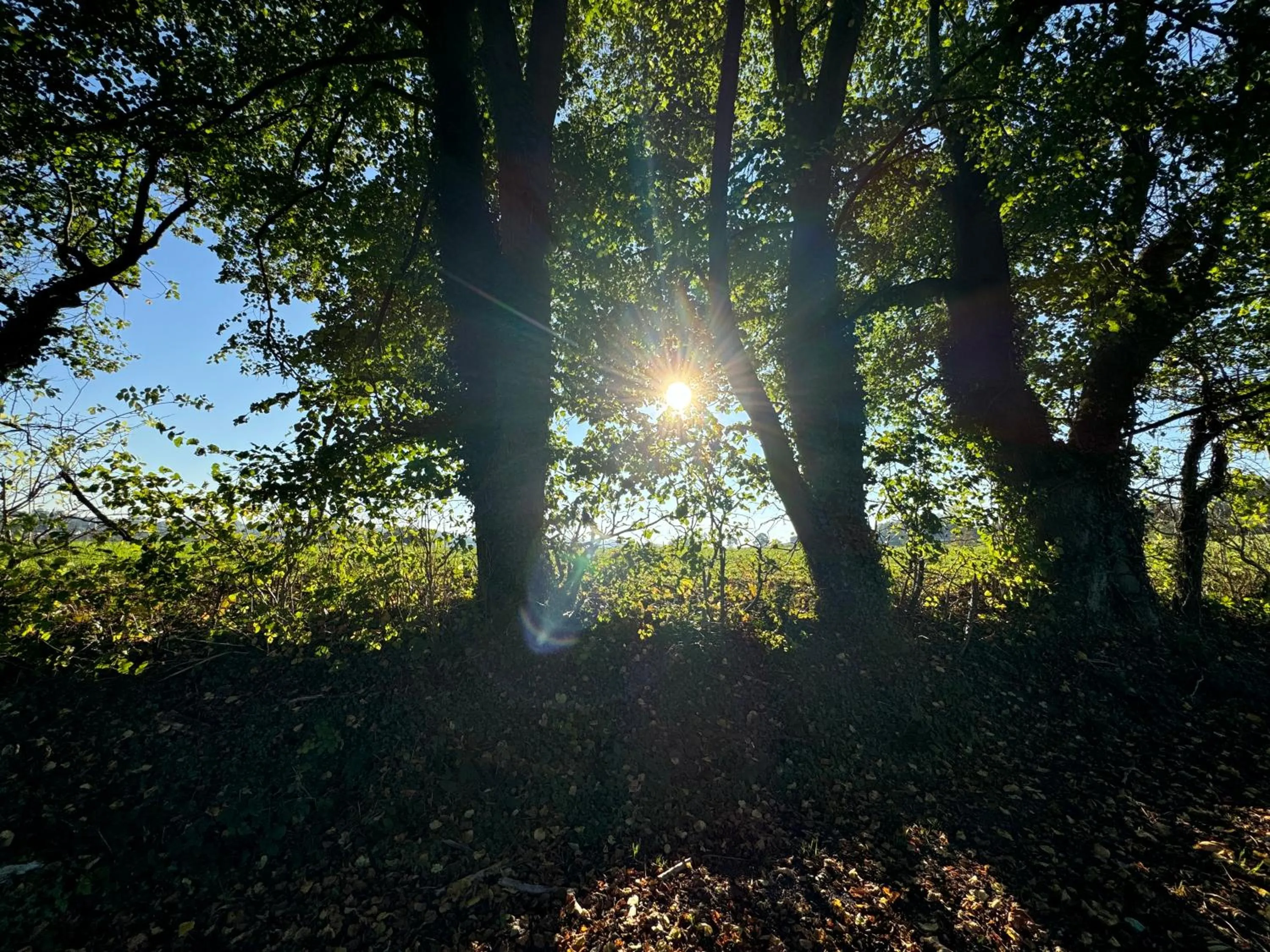 Country house Au Ballet des Hirondelles