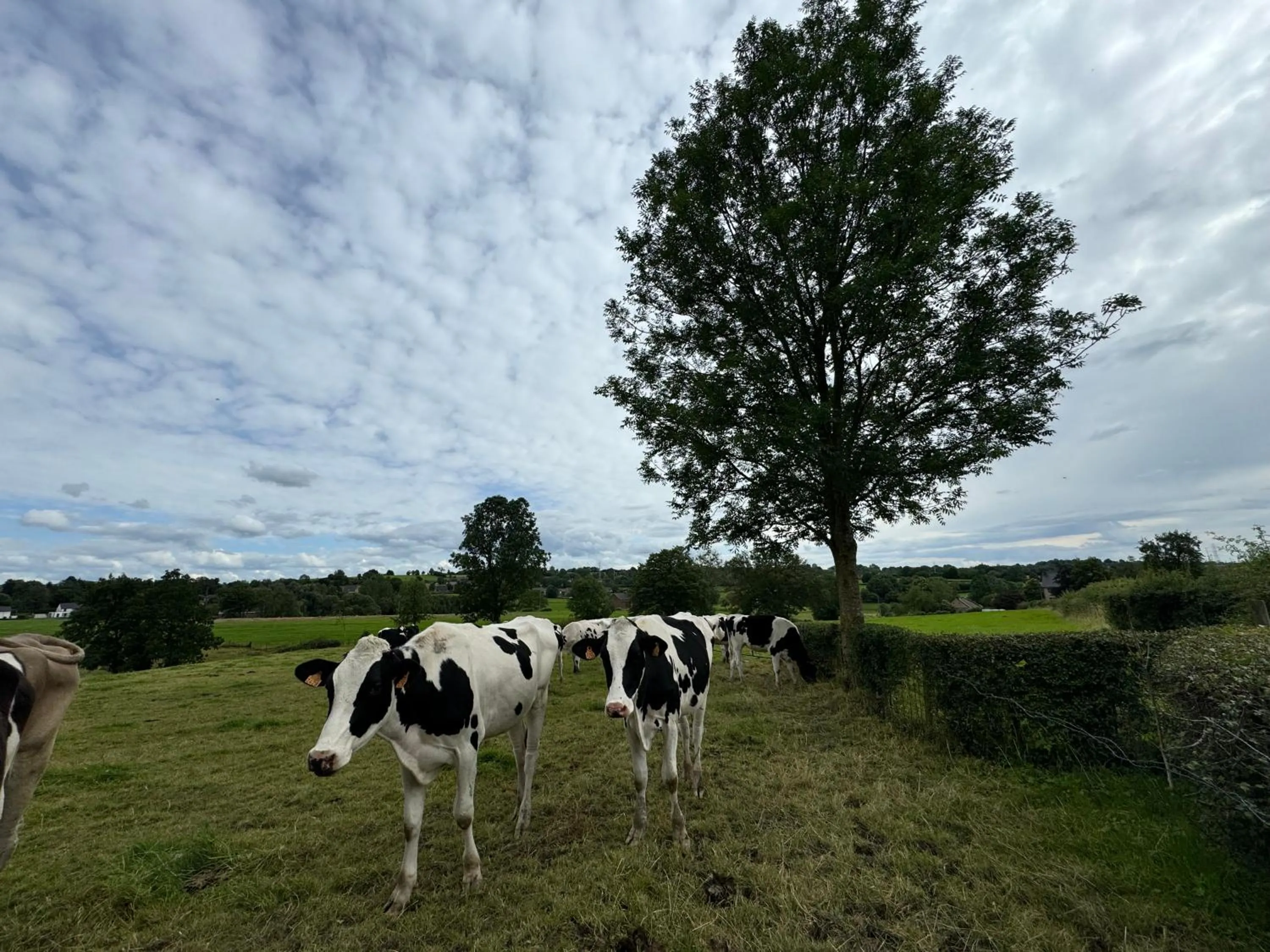 Country house Au Ballet des Hirondelles