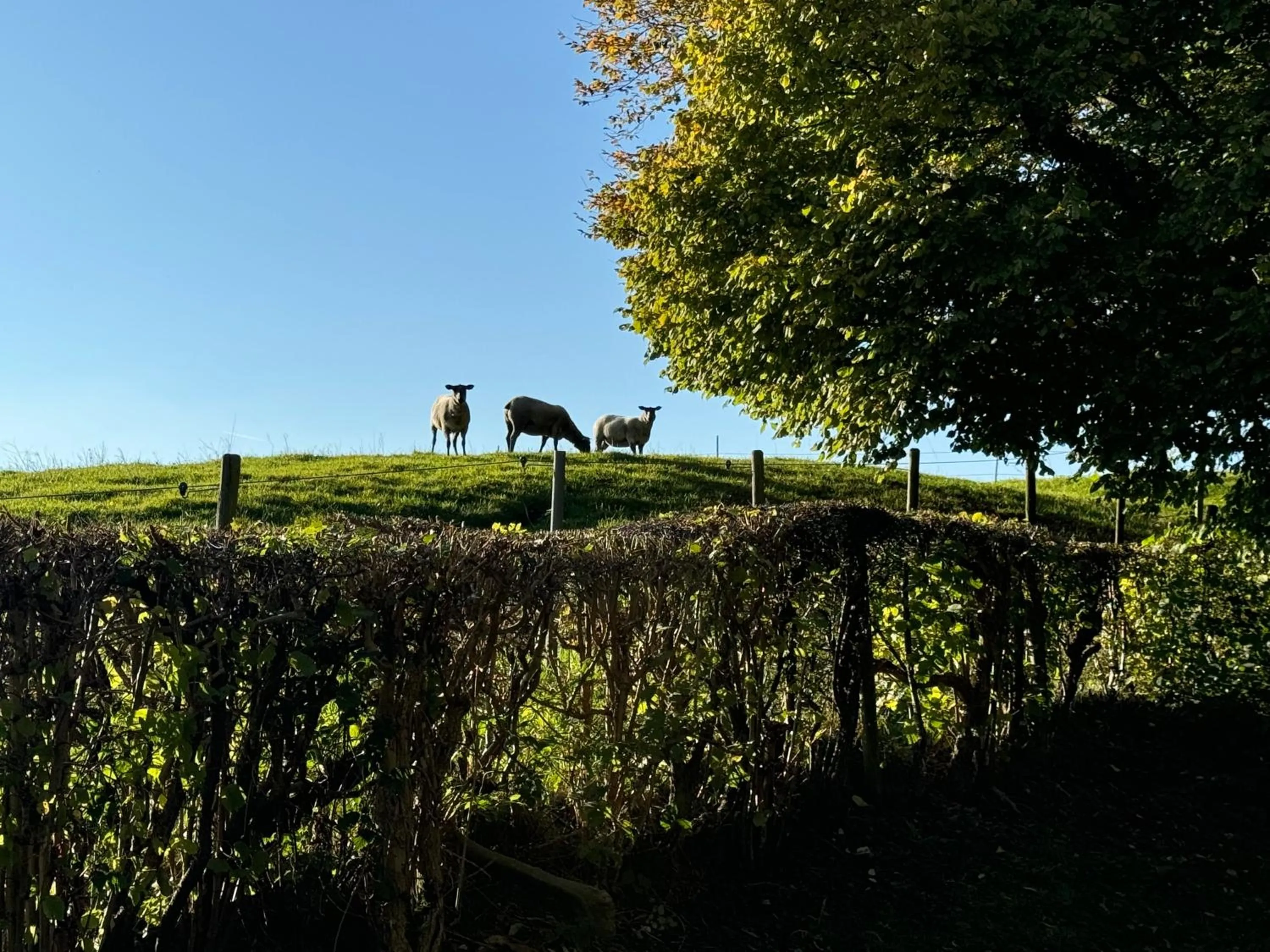 Country house Au Ballet des Hirondelles
