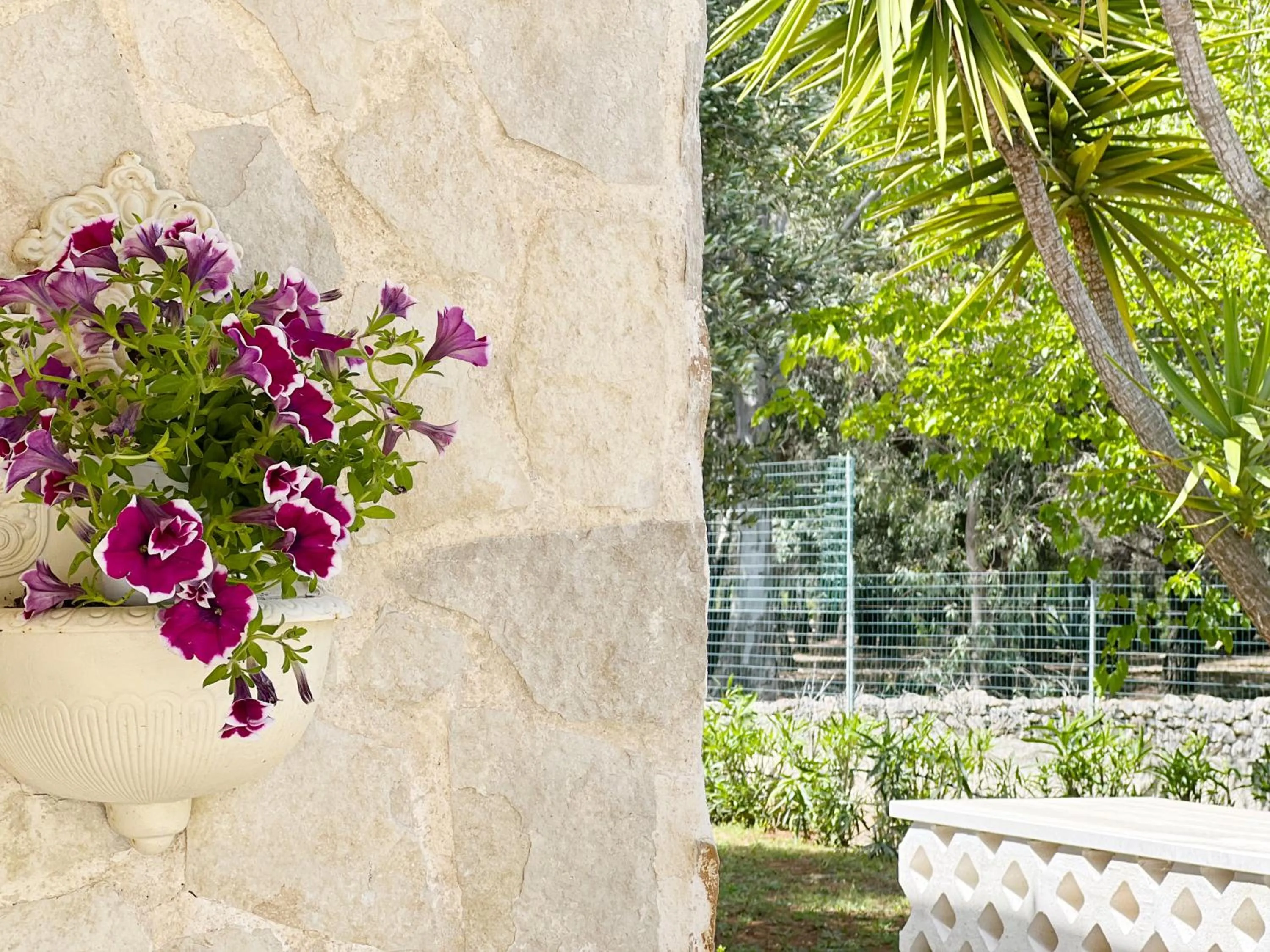 Garden in La Maison One B&B