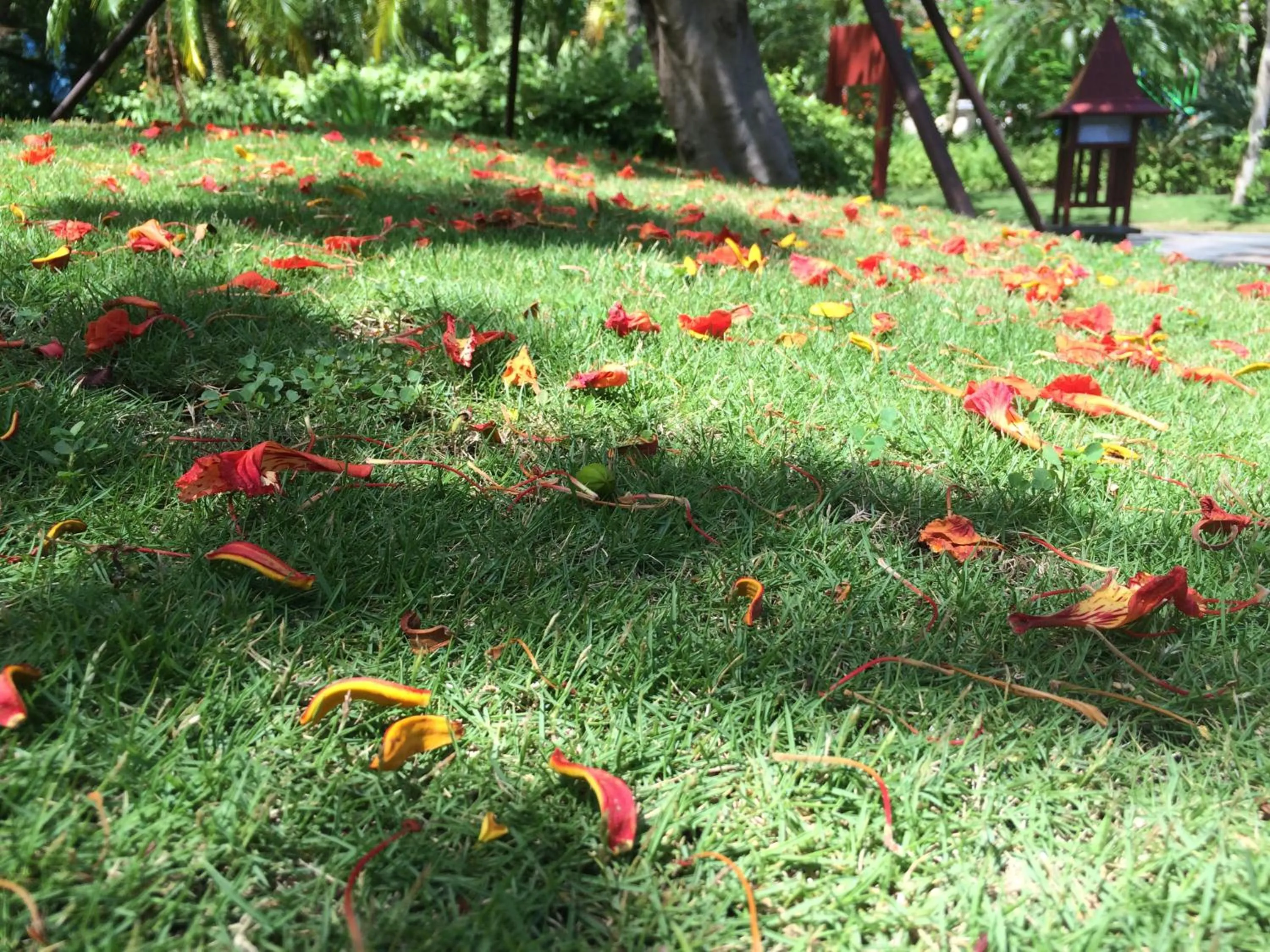 Garden in Stony Brook Villa Jianguo Resort Sanya