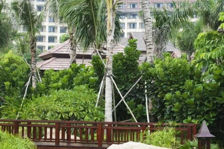 View (from property/room) in Stony Brook Villa Jianguo Resort Sanya