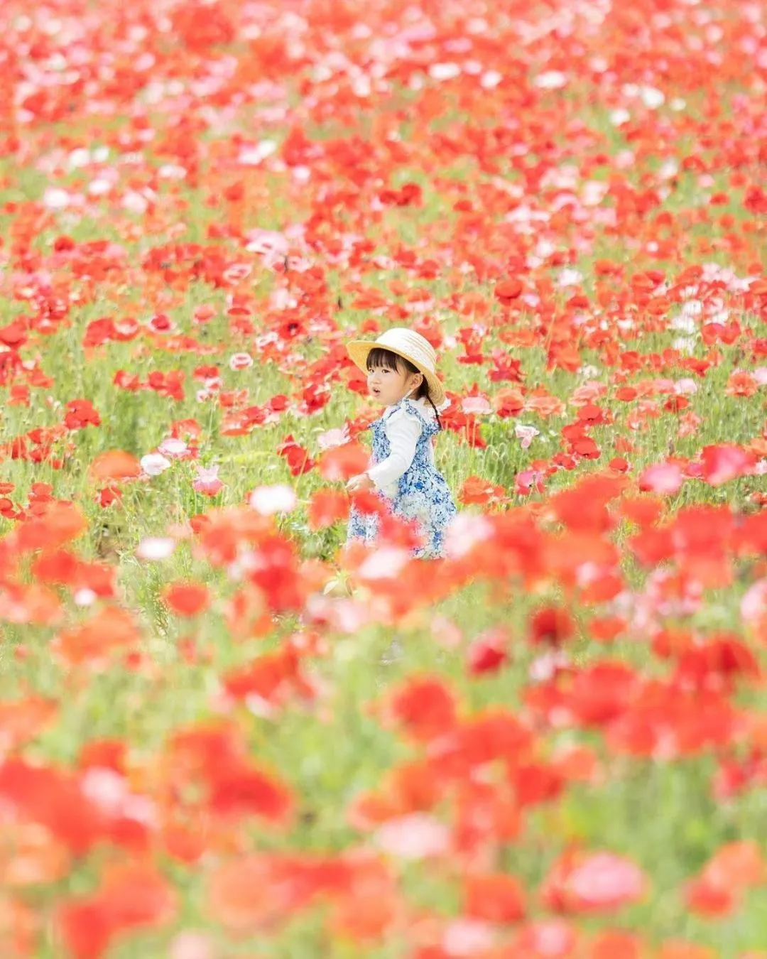 Nearby landmark in Hotel Crown Hills GOI