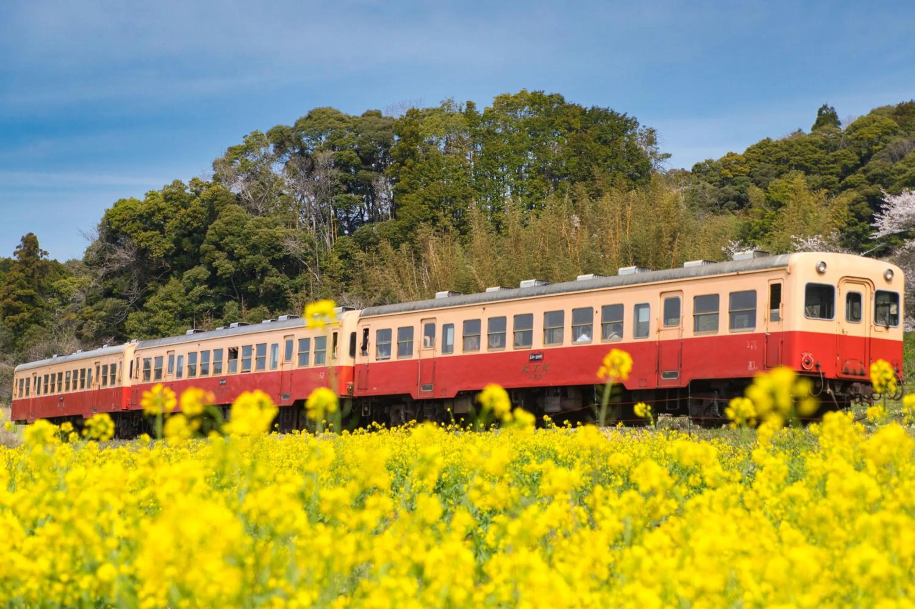 Nearby landmark in Hotel Crown Hills GOI