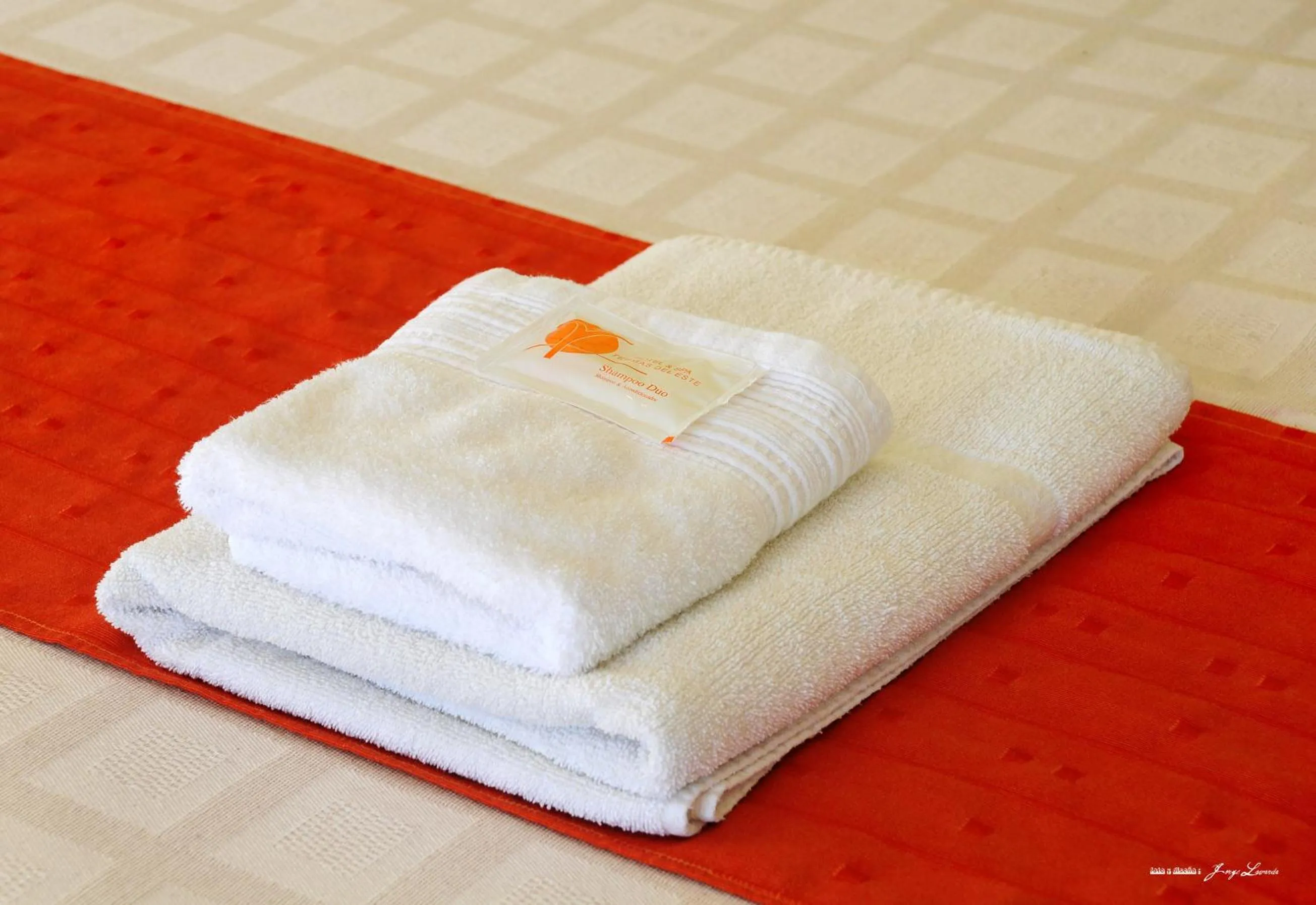 Decorative detail in Hotel y Spa Termas del Este