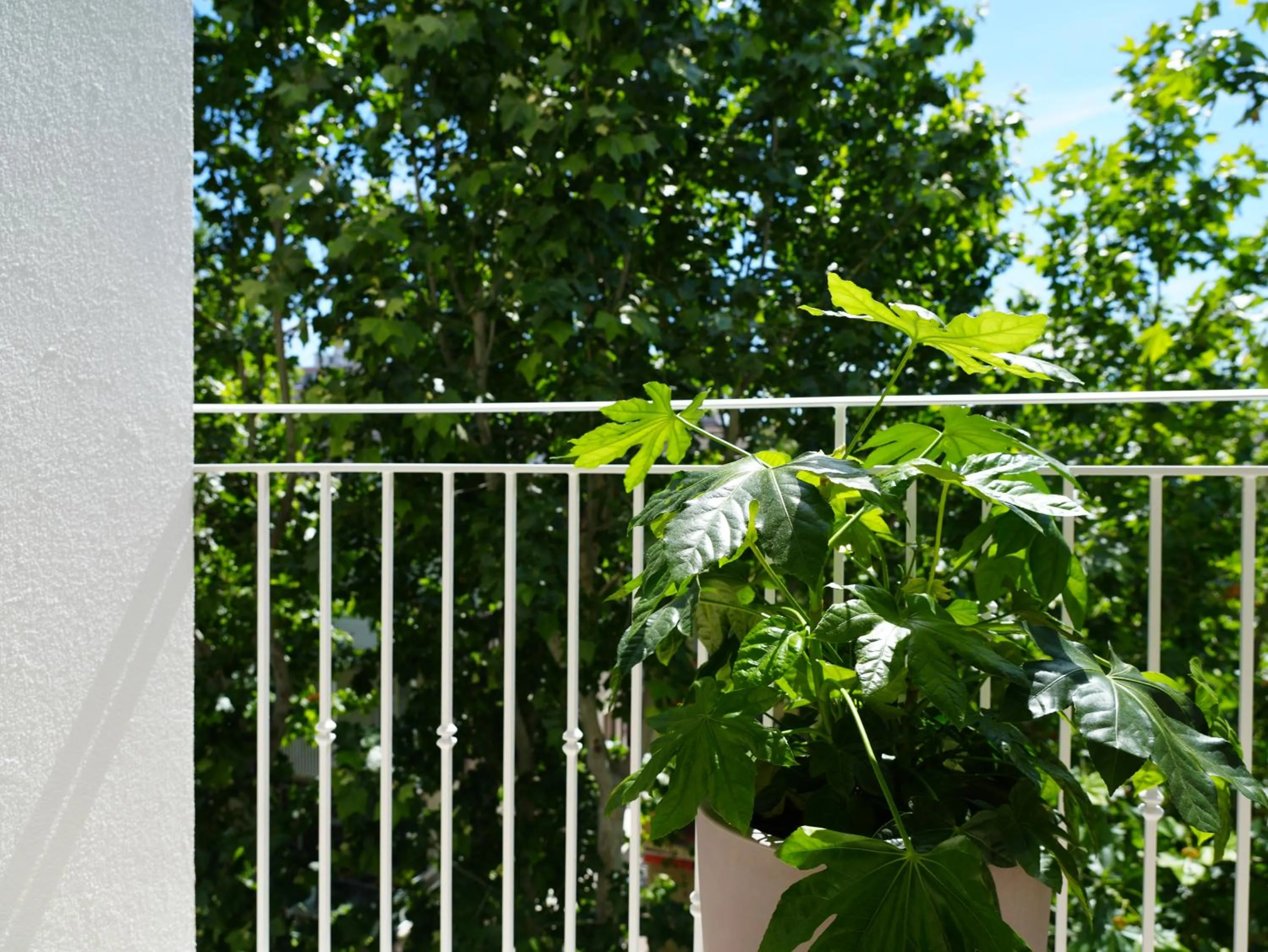 Balcony/Terrace in Hotel Regal