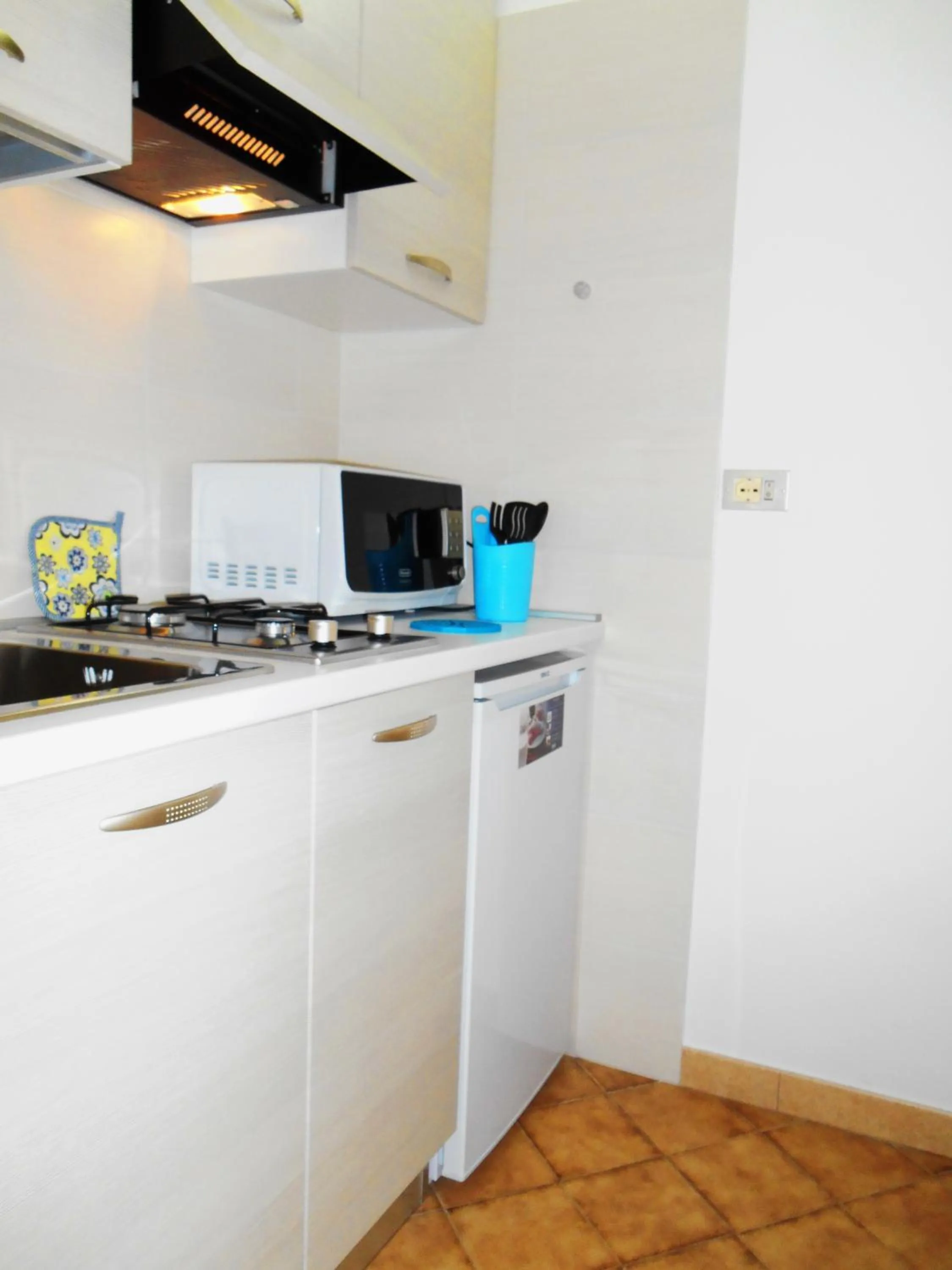 Kitchen or kitchenette in Il Cucù Bed and Breakfast