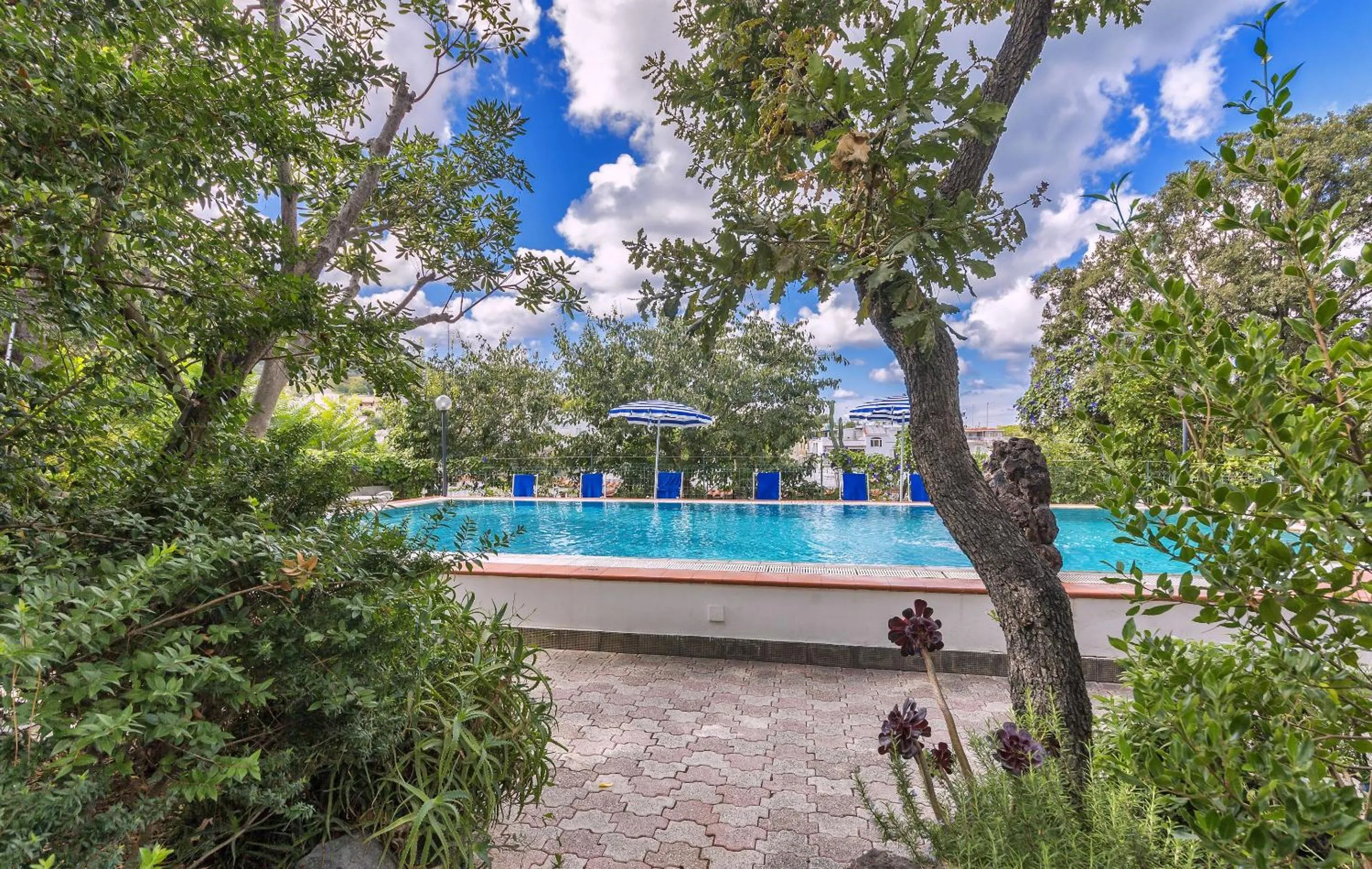 Swimming pool in Hotel Vittoria