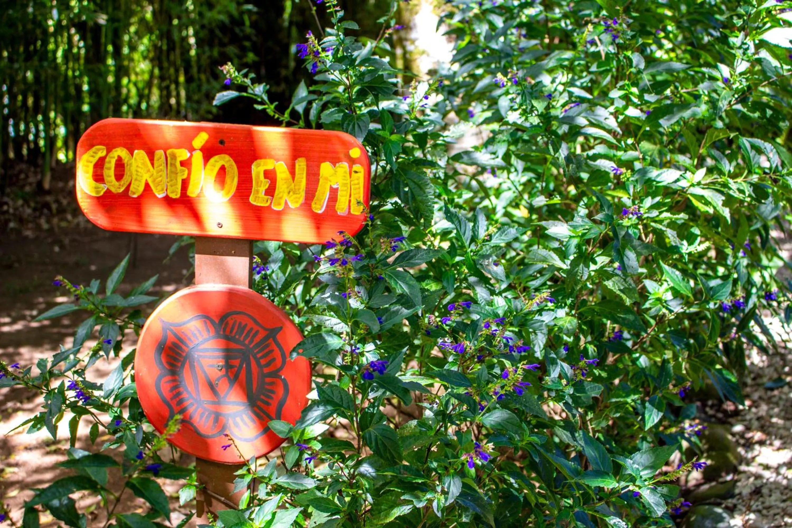 Garden in Hotel Holístico Monteverde
