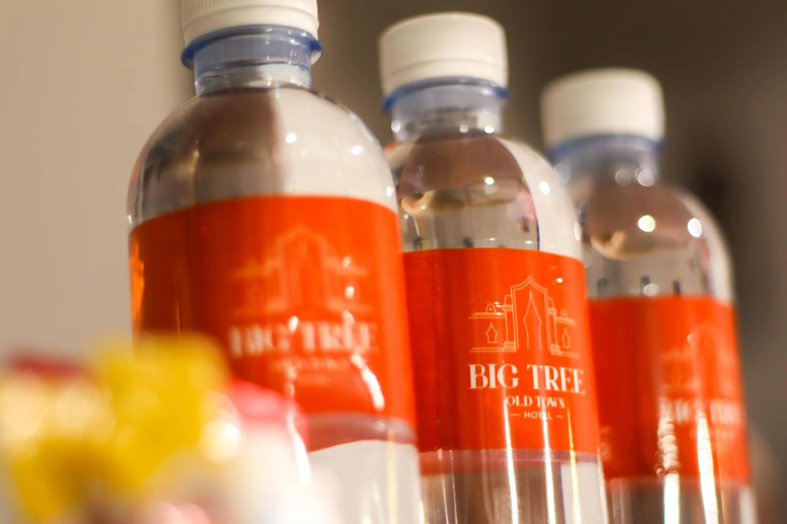 Drinks in Big Tree Old Town Hotel