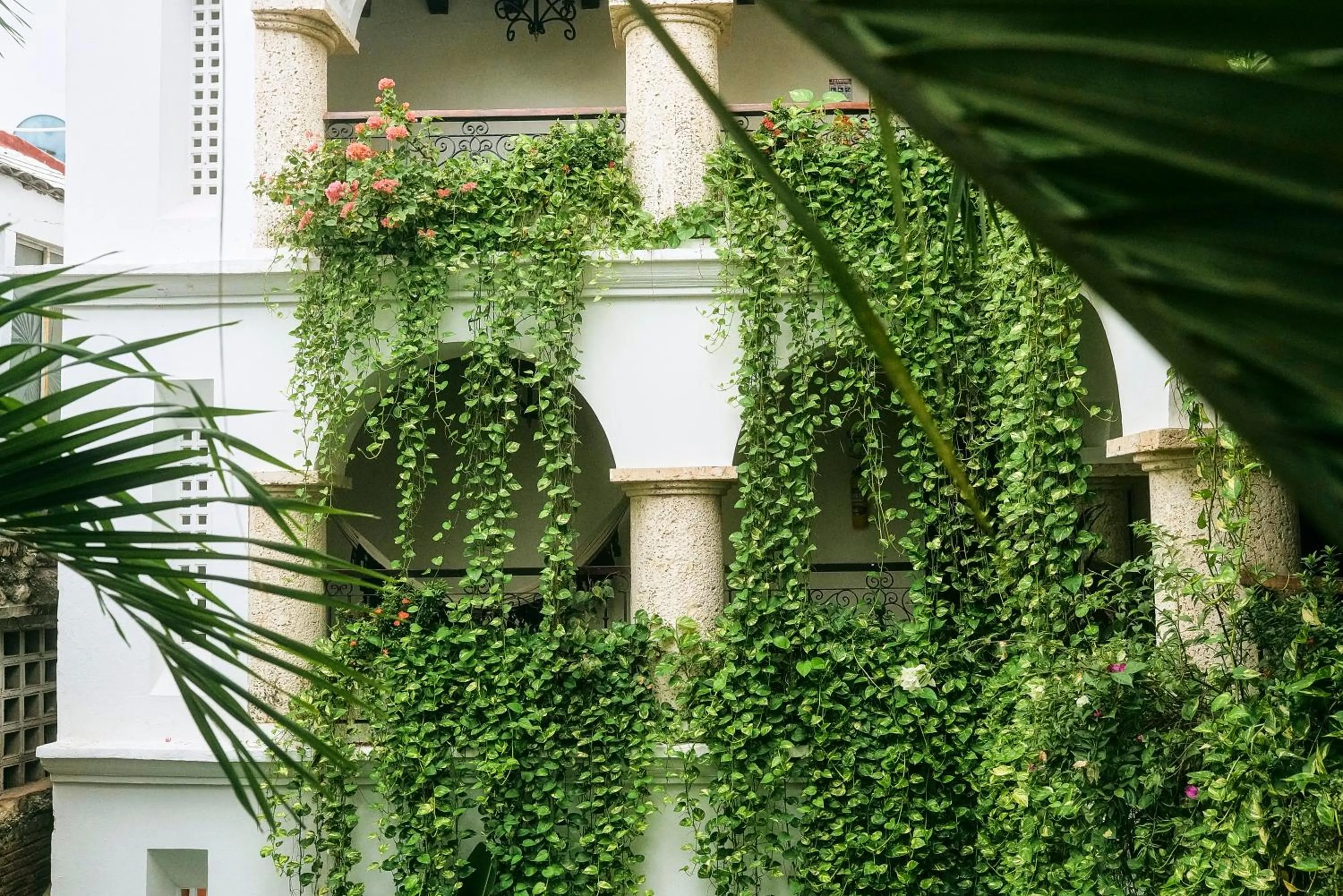 Patio in Hotel Boutique Patio Corao