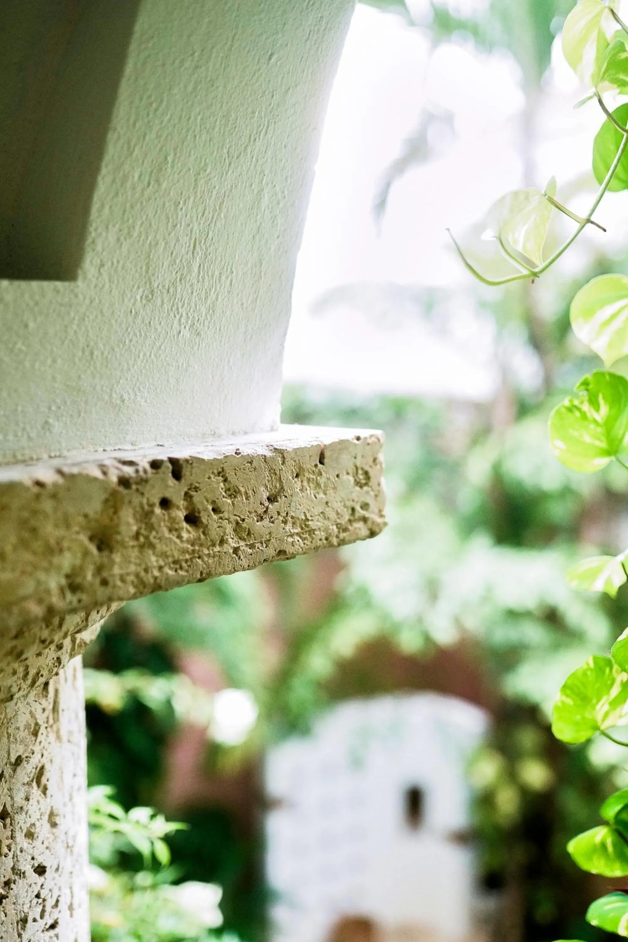 View (from property/room) in Hotel Boutique Patio Corao