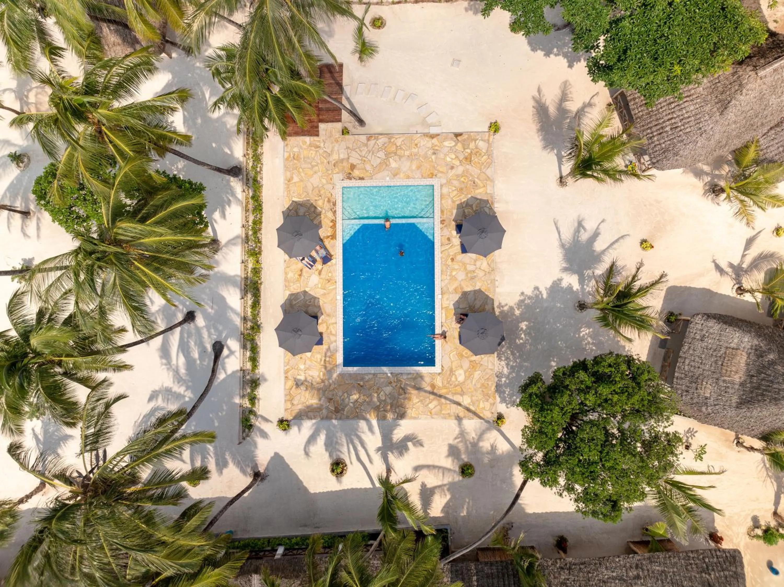 Swimming pool in The Soul Zanzibar Beach Hotel & Spa