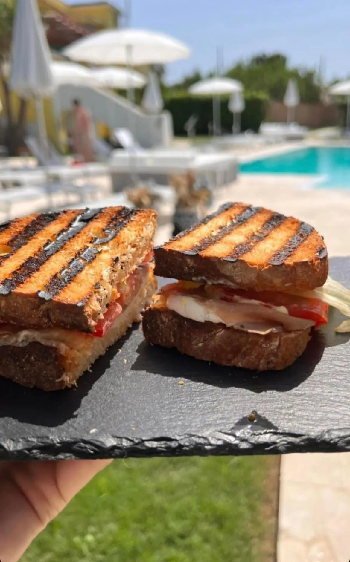 Restaurant/places to eat in Il Leone Di Mare