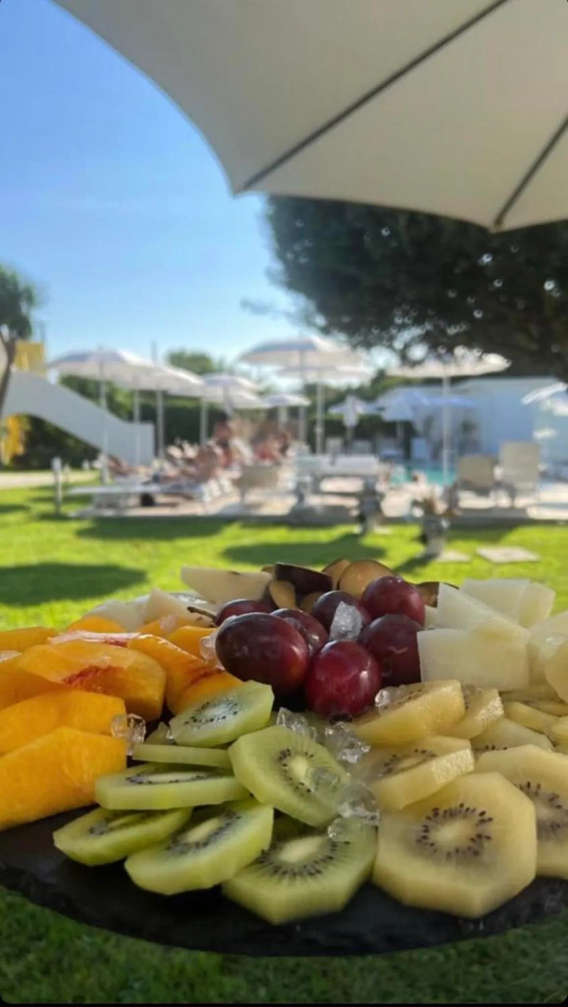 Restaurant/places to eat in Il Leone Di Mare