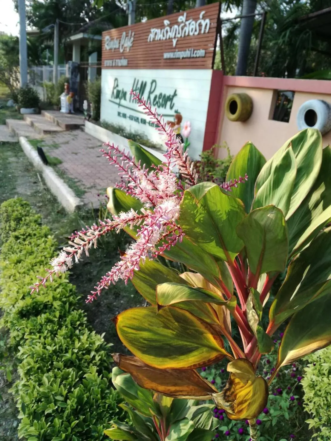 Garden in Rimpuhill resort