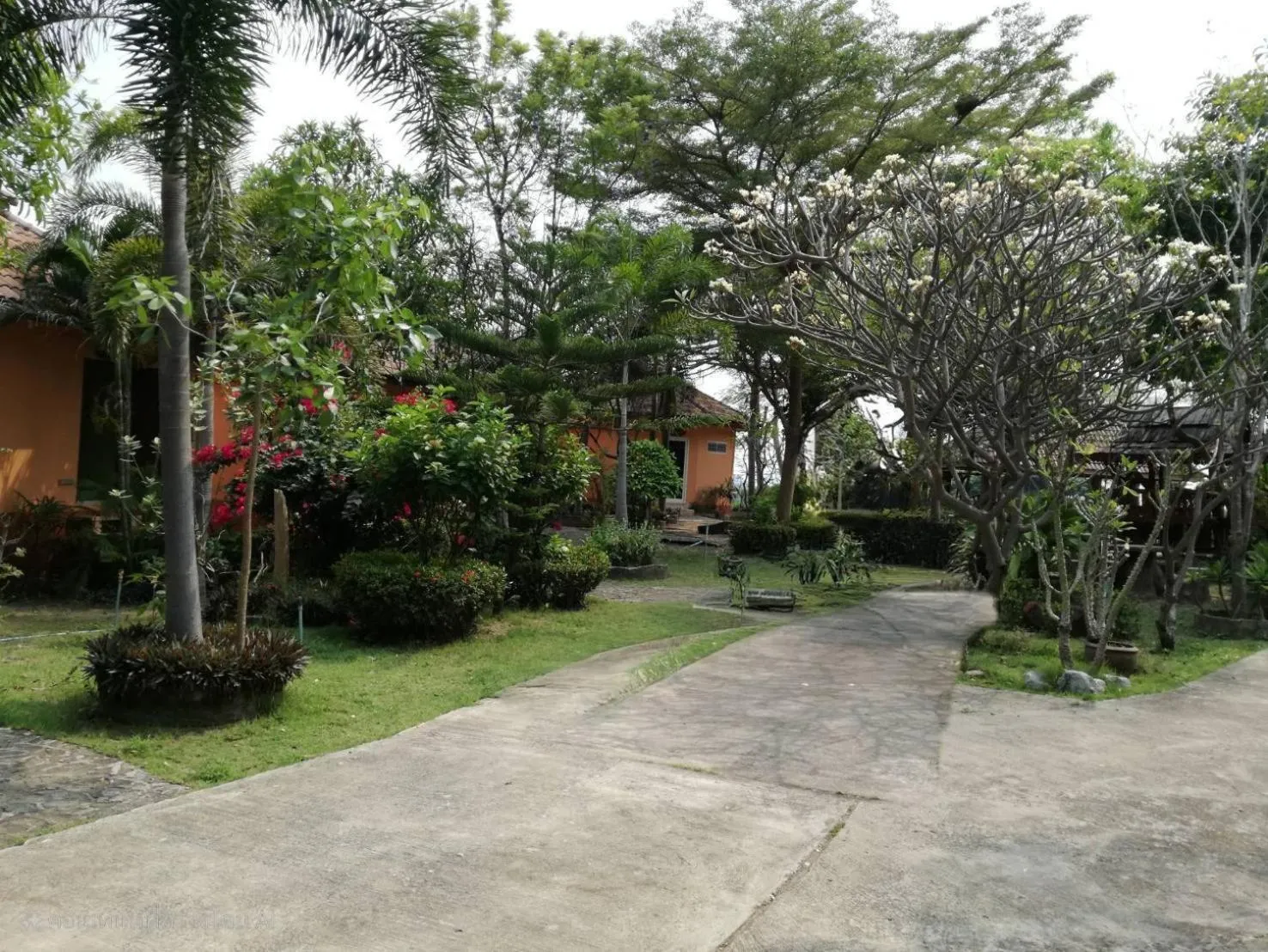 Garden in Rimpuhill resort