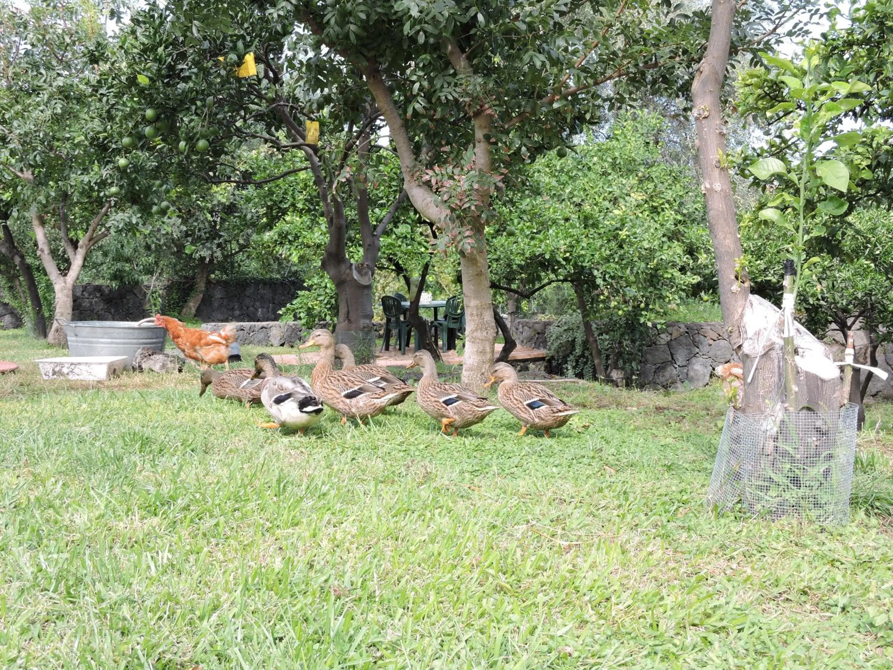 Garden in Villa Sciare Modò
