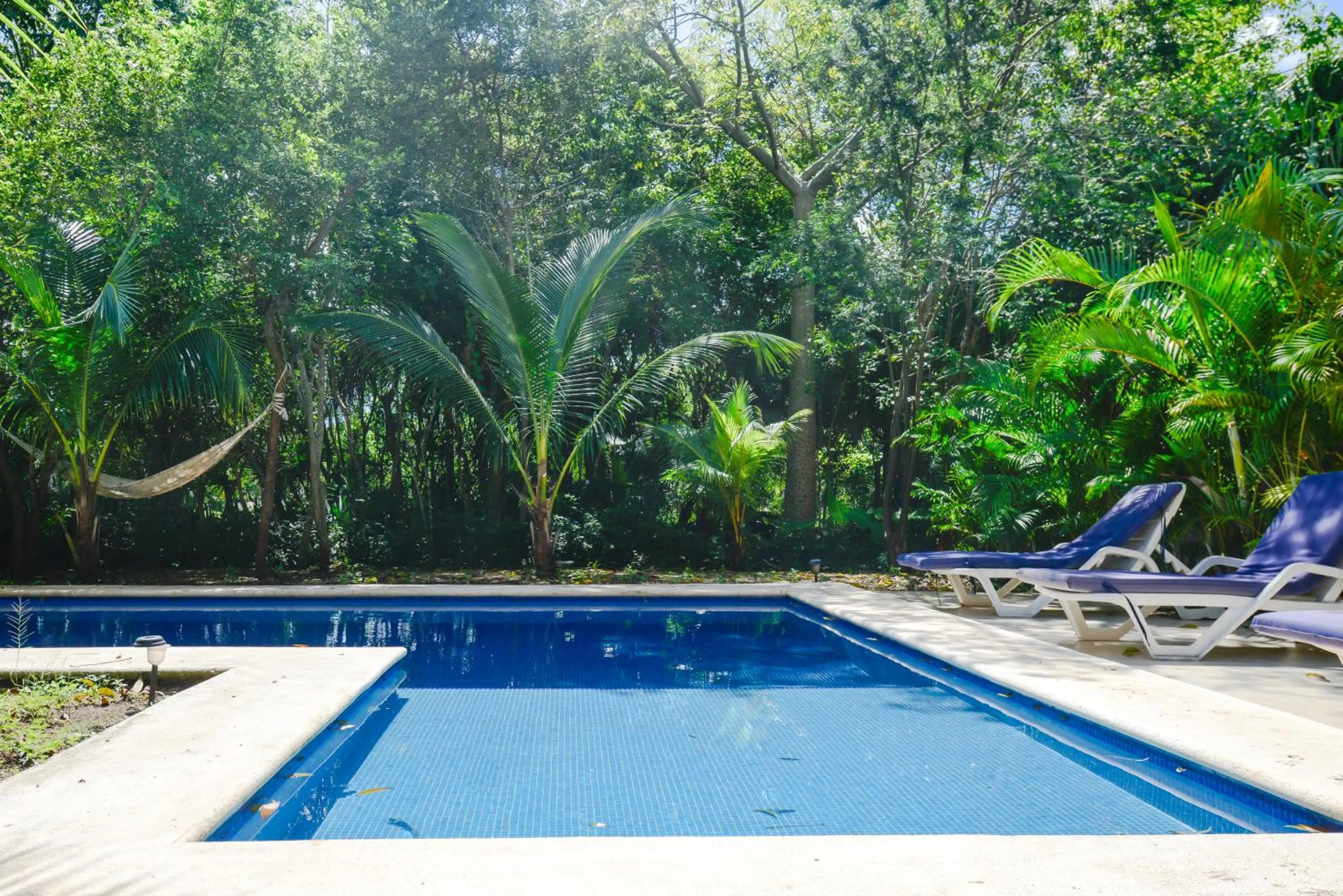 Swimming pool in Villas Picalu Lodge