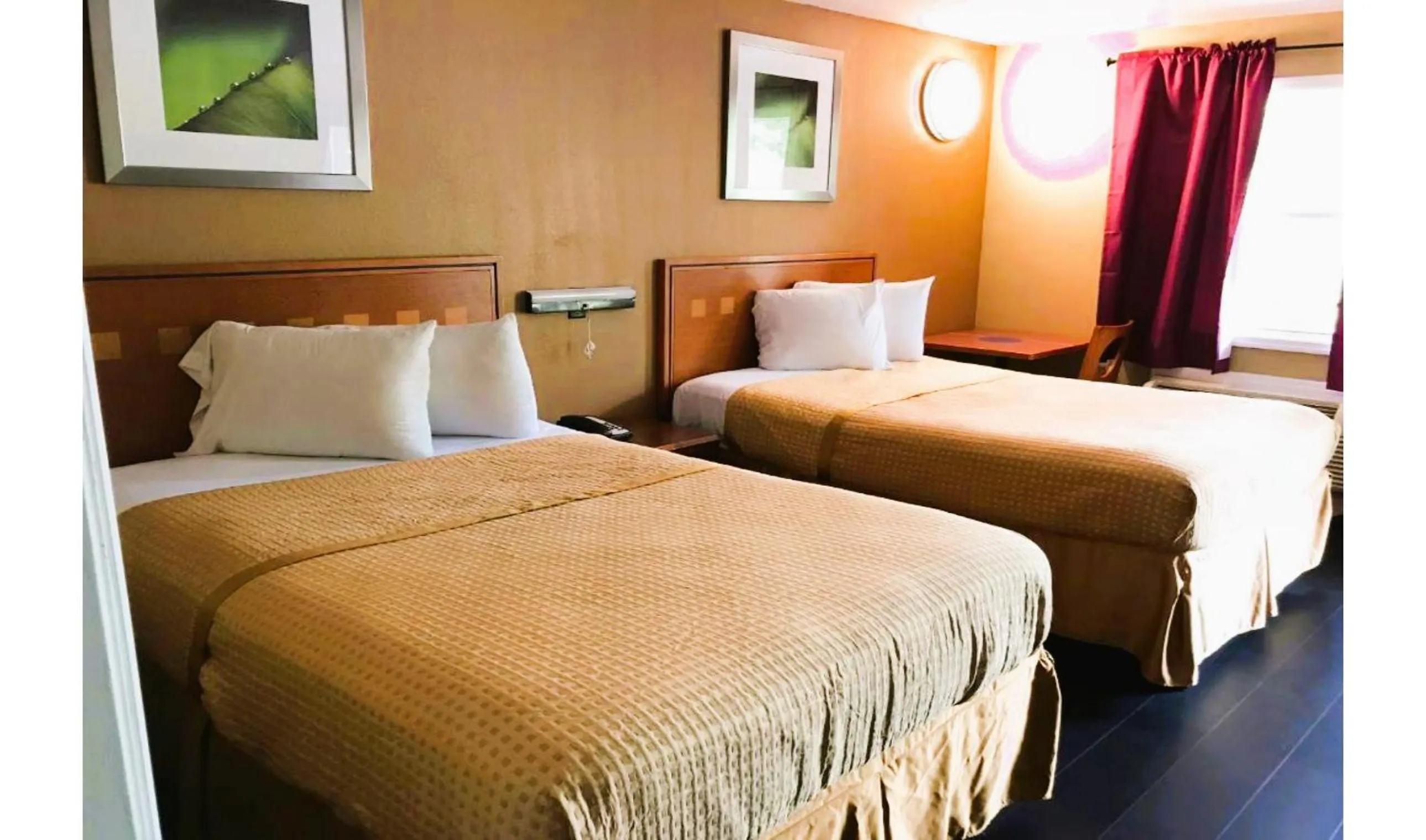 Bedroom, Bed in OYO Hotel Tallahassee Downtown