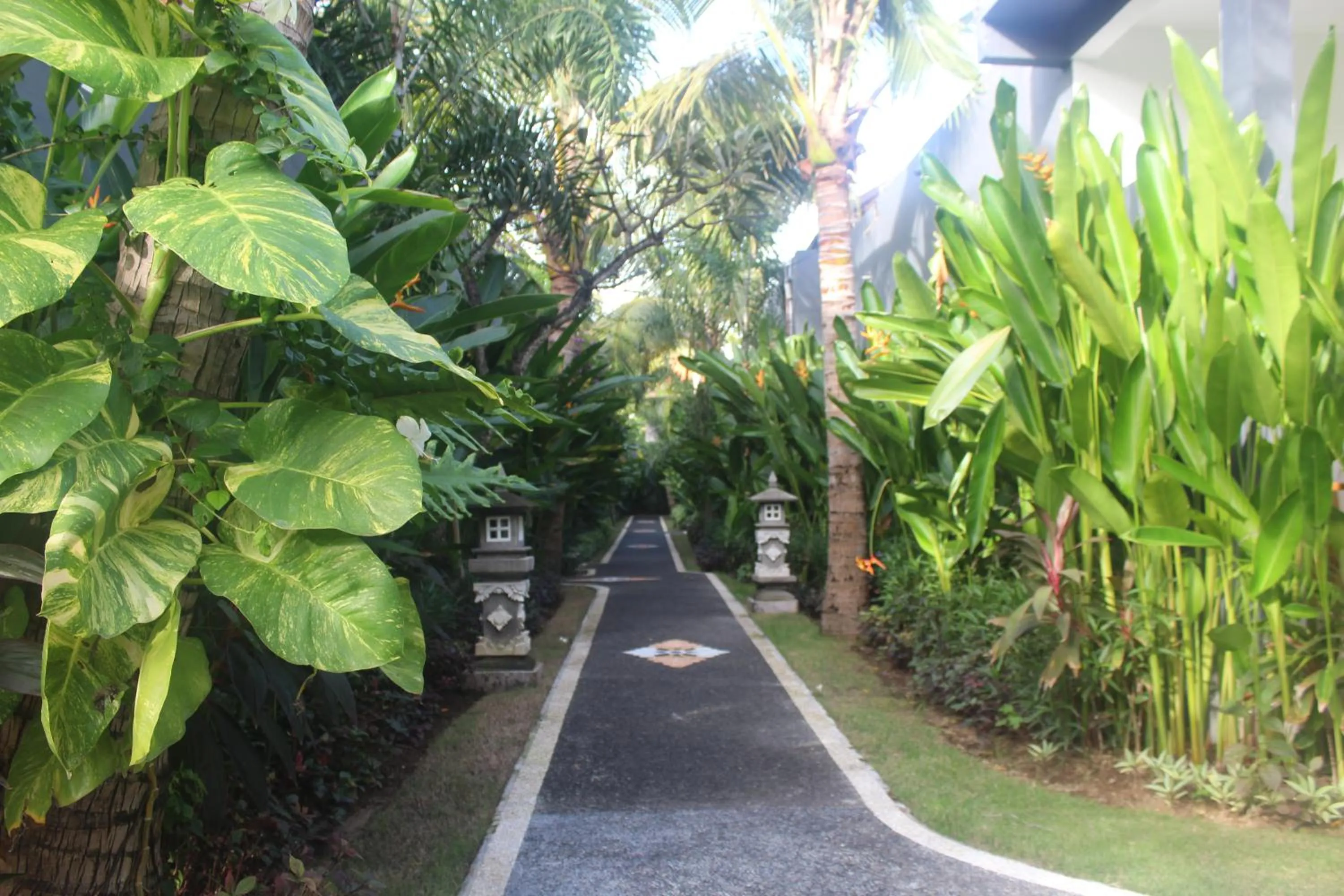 Day in Palm Garden Bali