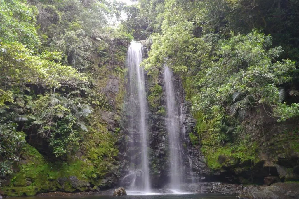 Natural landscape in E-horizon Resort Condominium Sesoko