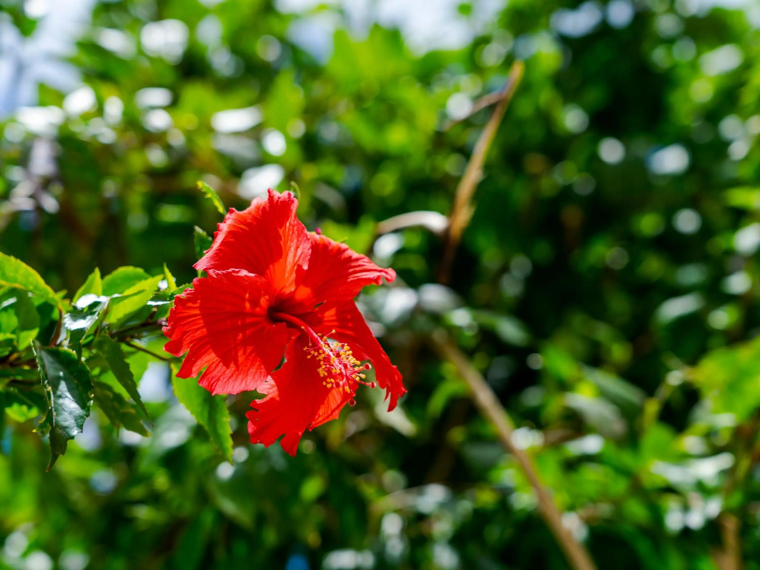 Off site in Umi No Terrace Yomitan Toya