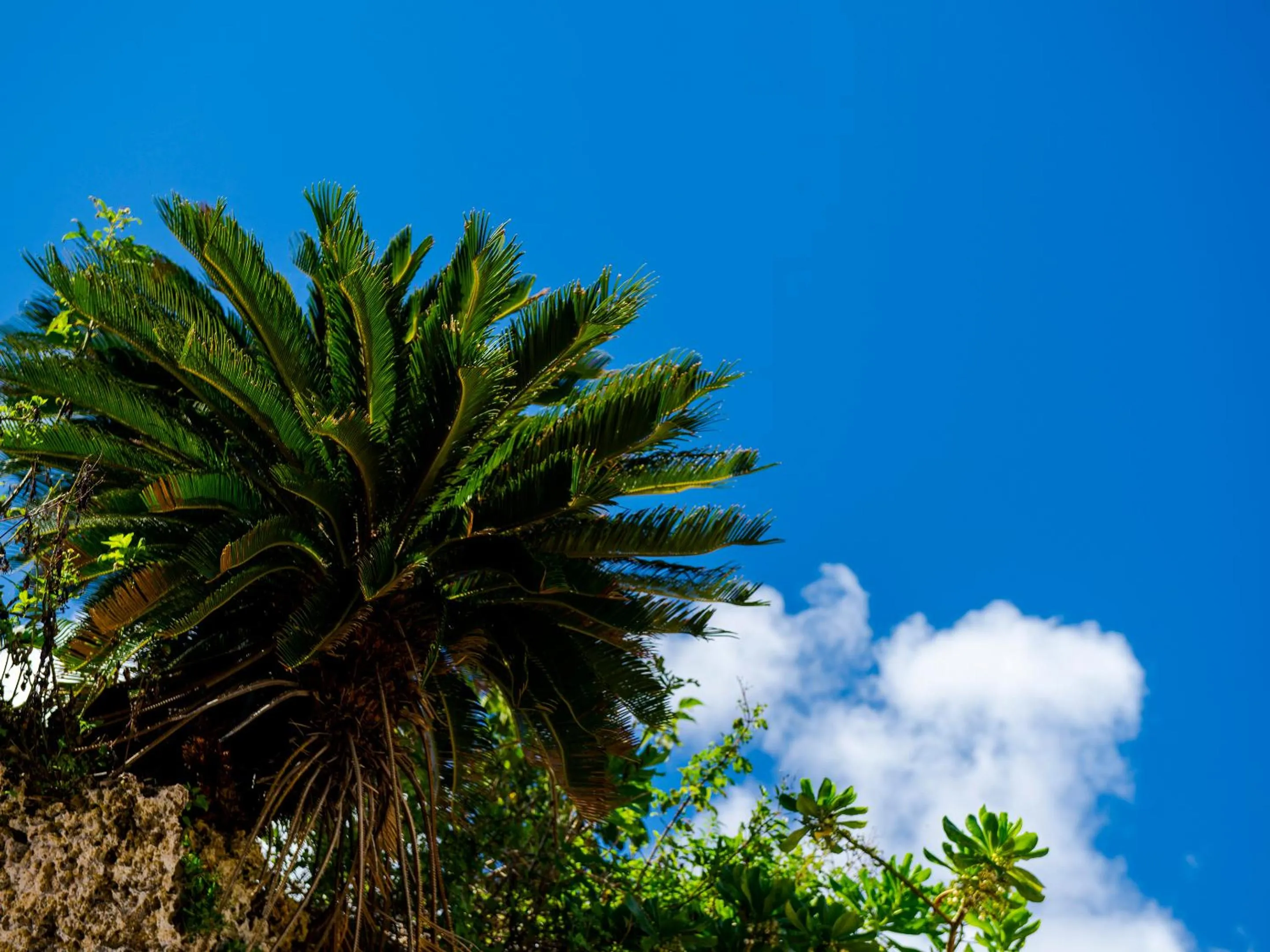 Beach in Umi No Terrace Yomitan Toya