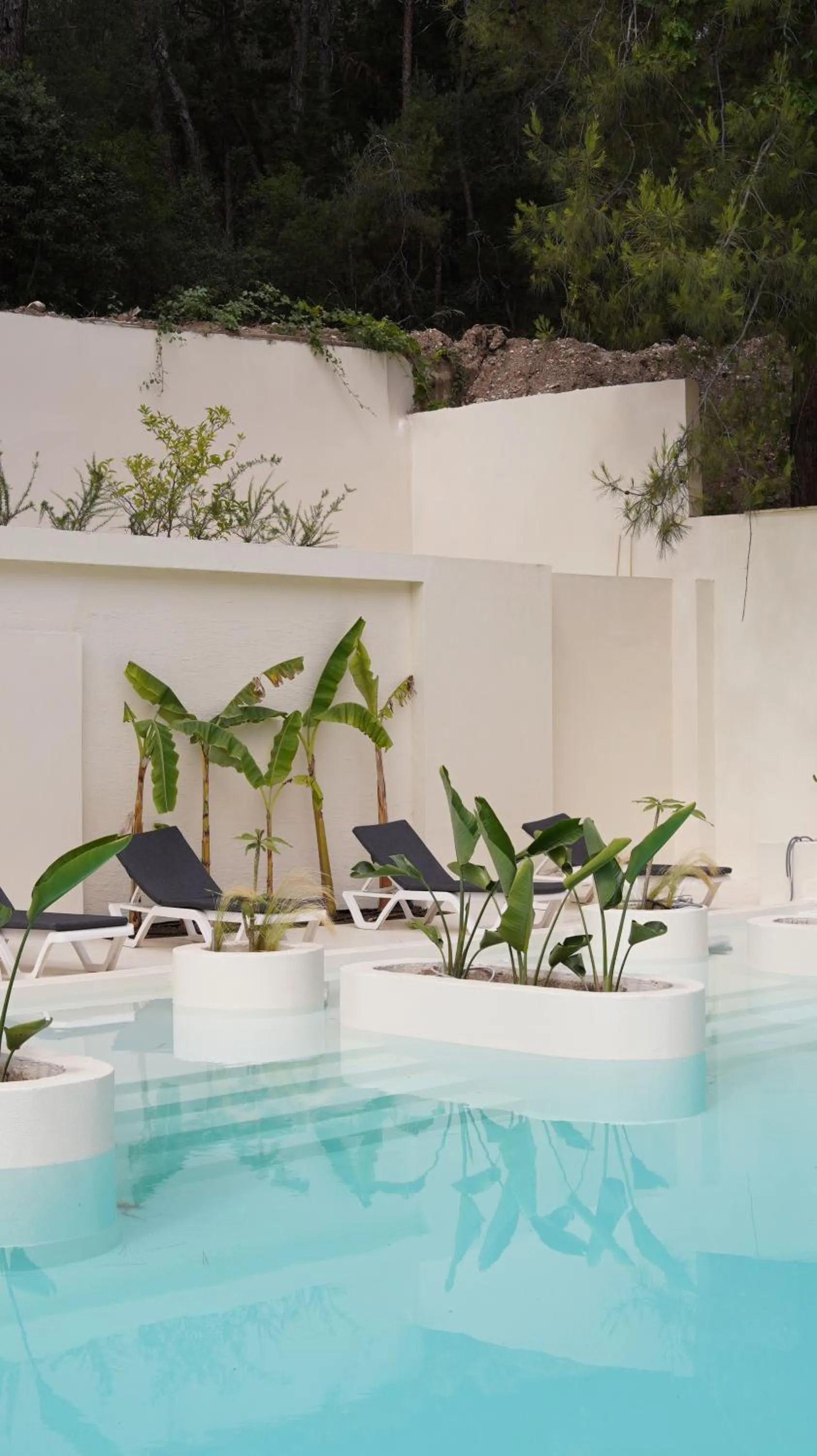 Day in Doc's Hotel Kemer