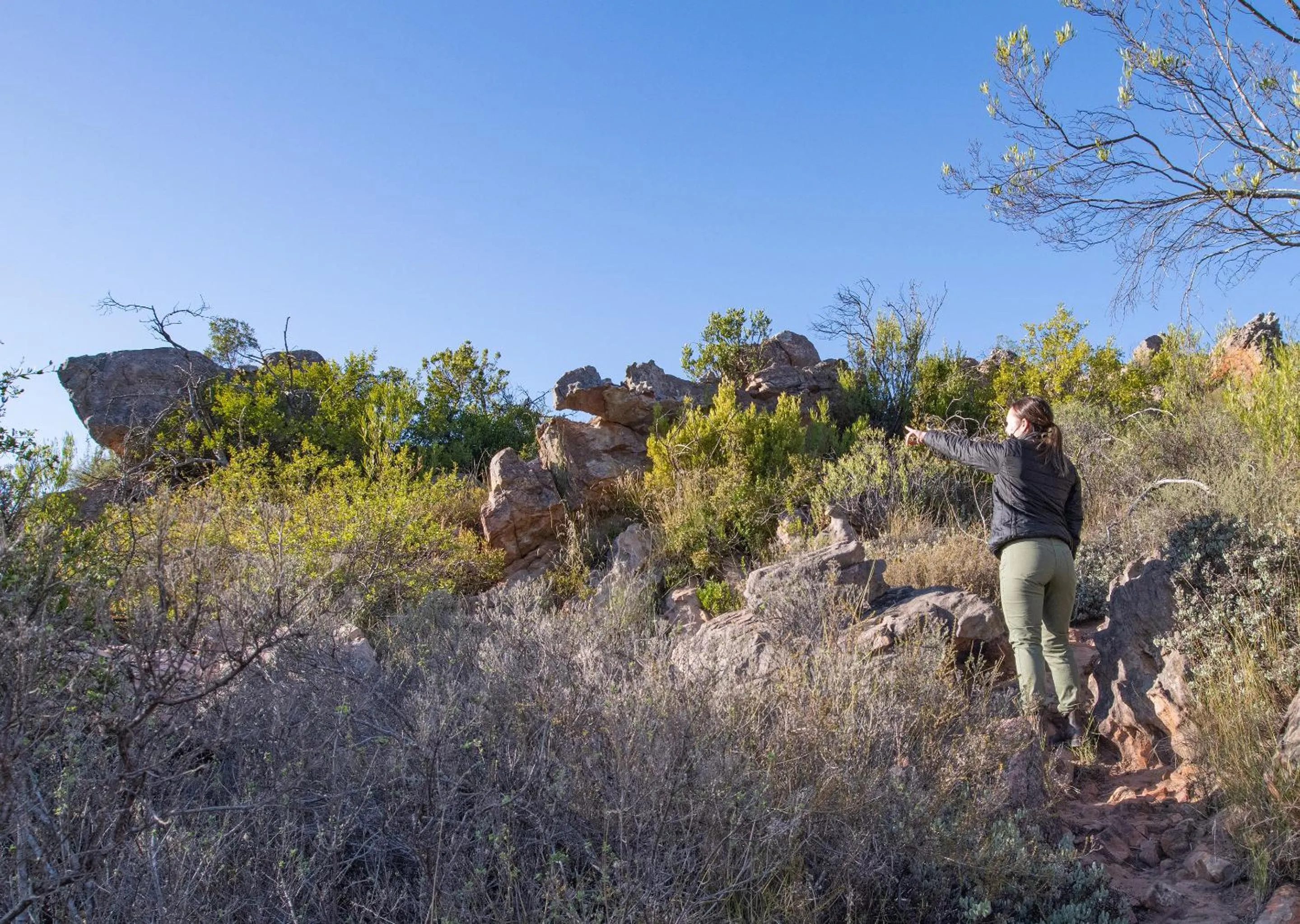 Spring in Piekenierskloof Mountain Resort by Dream Resorts