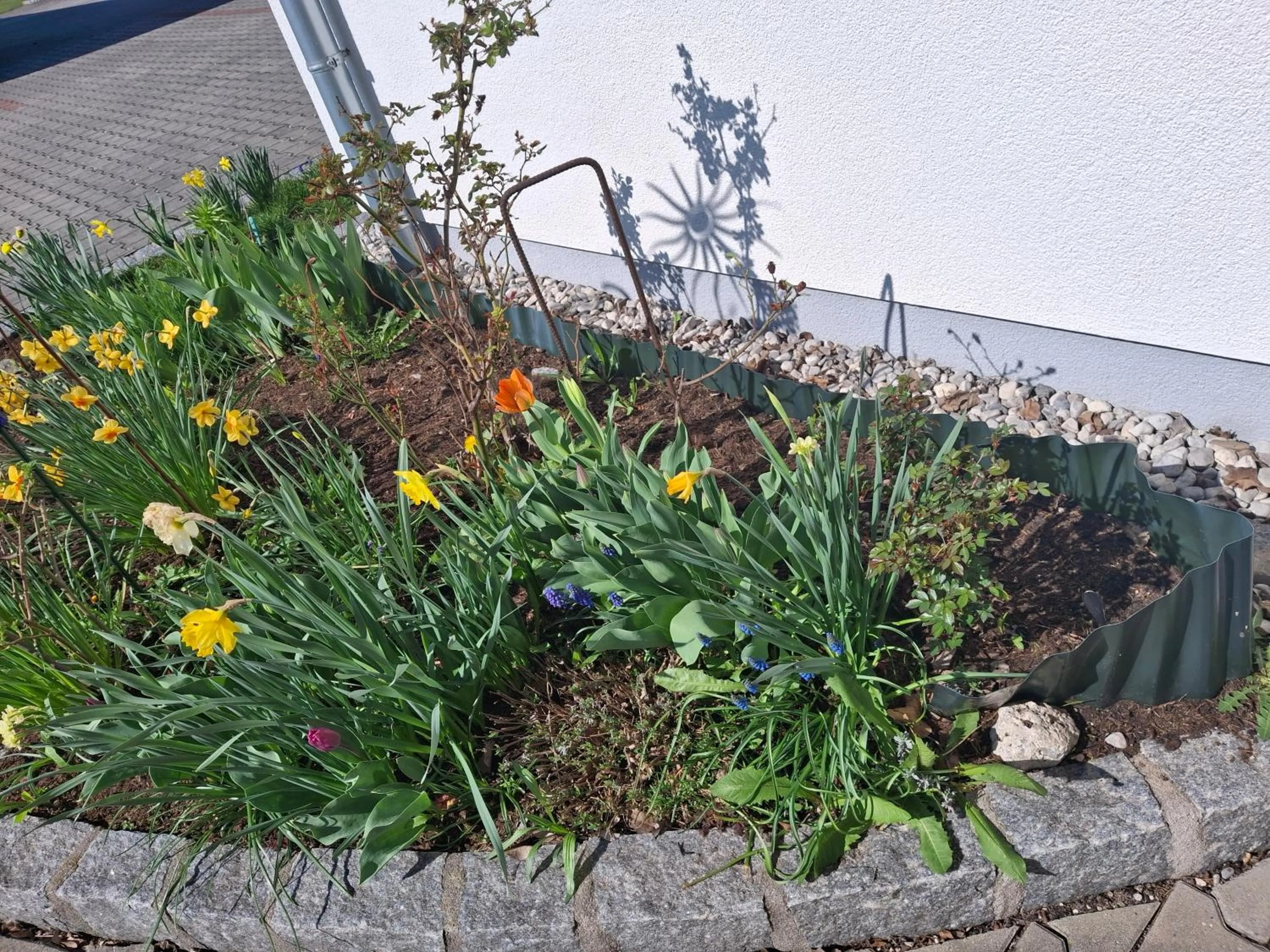 Property building in Gästehaus Watschinger