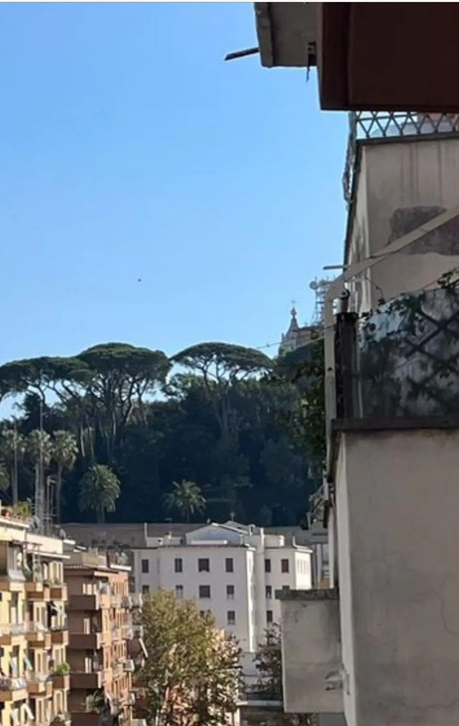 View (from property/room) in B&B La Perla di Roma