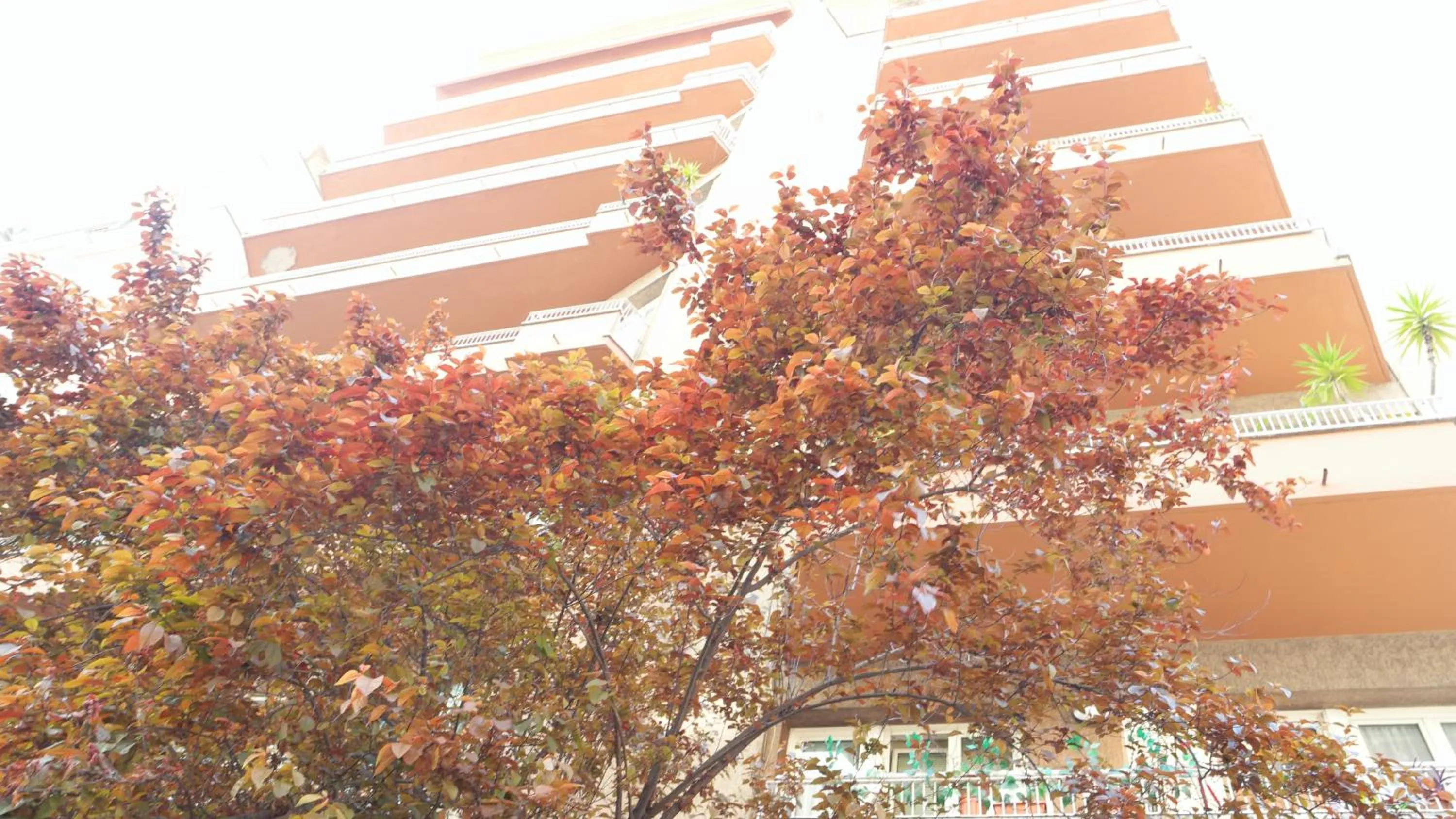 Landmark view in B&B La Perla di Roma