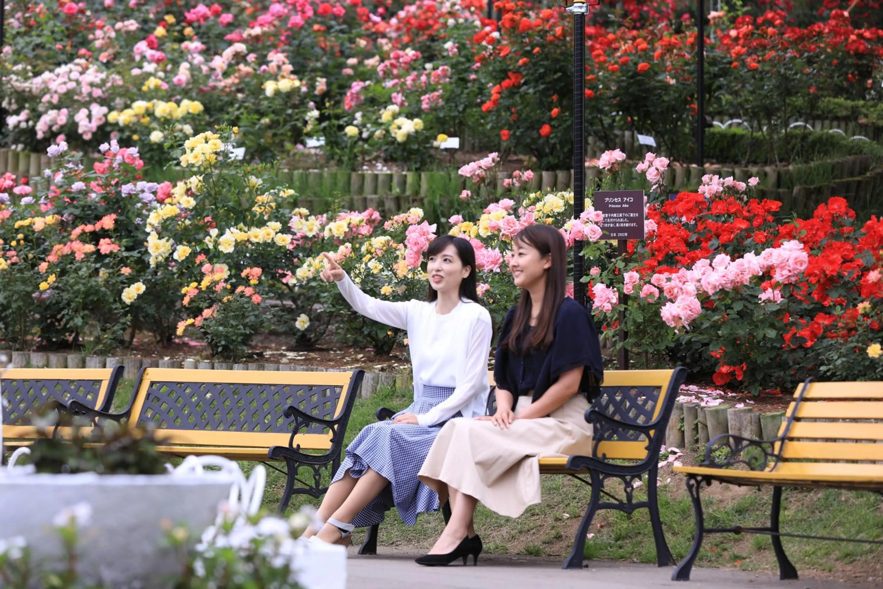 Nearby landmark in Hotel Senshukaku