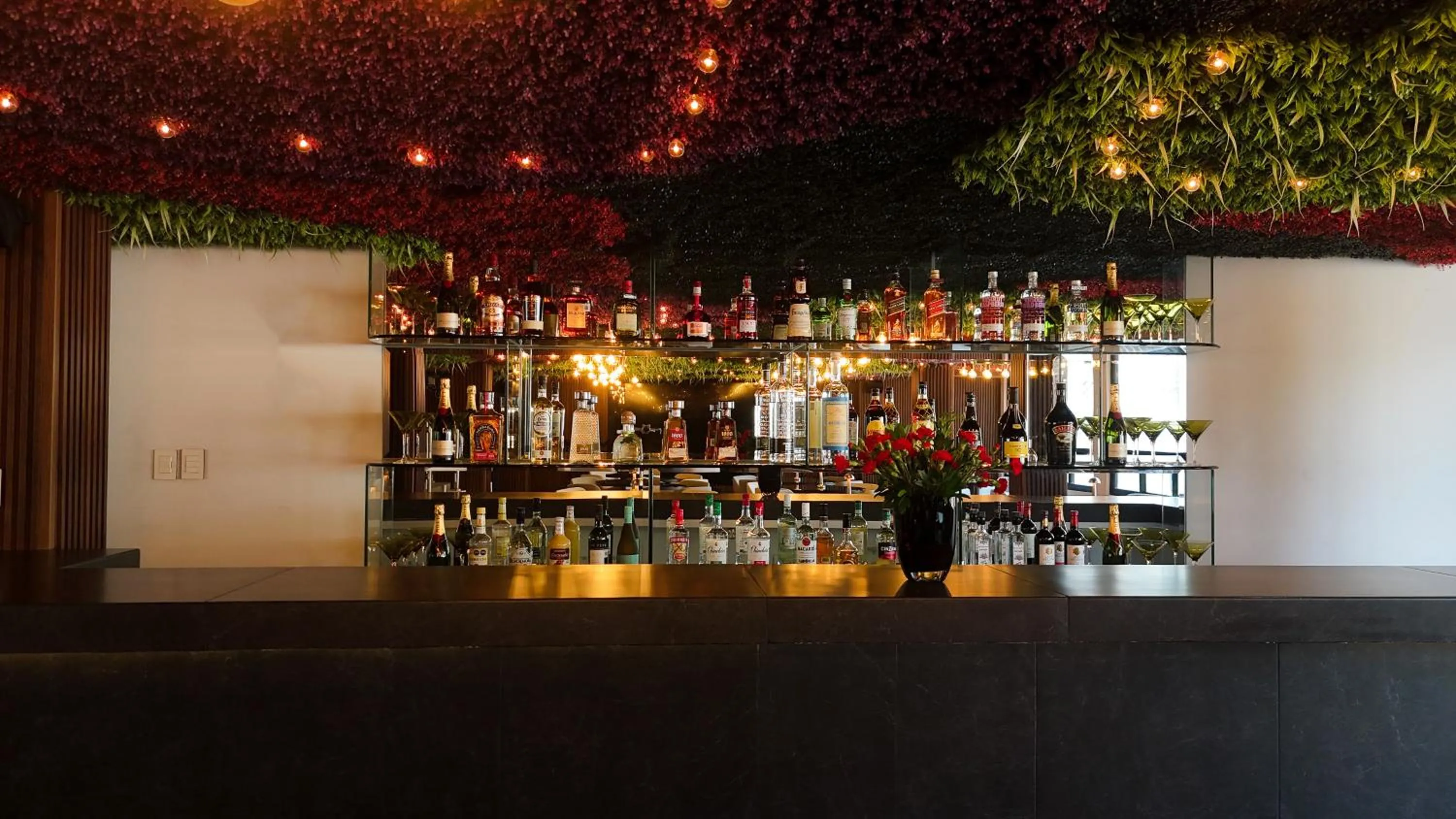 Restaurant/places to eat in Casa Tabachin