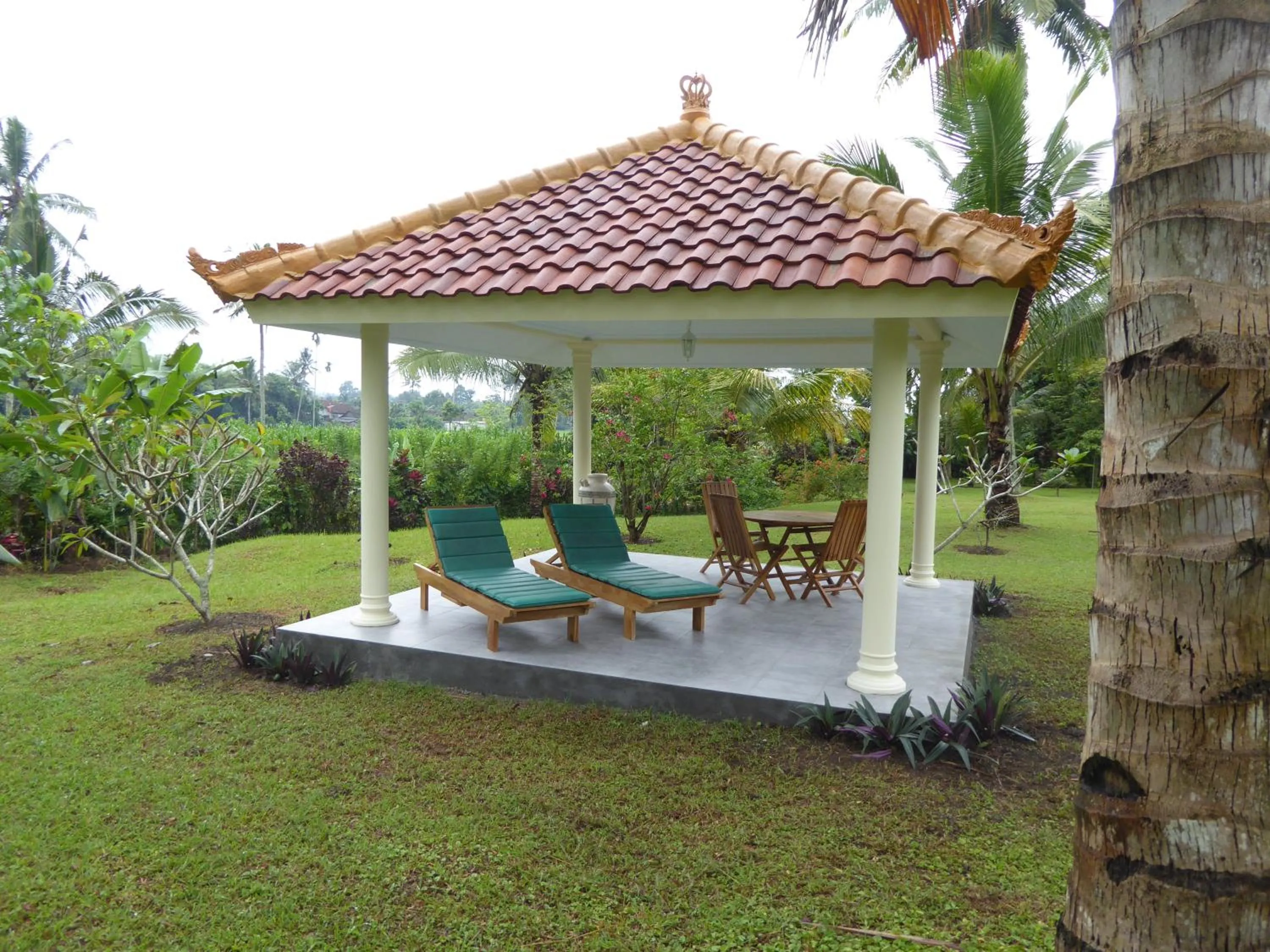 Natural landscape in Rumah Kita Villa/hotel