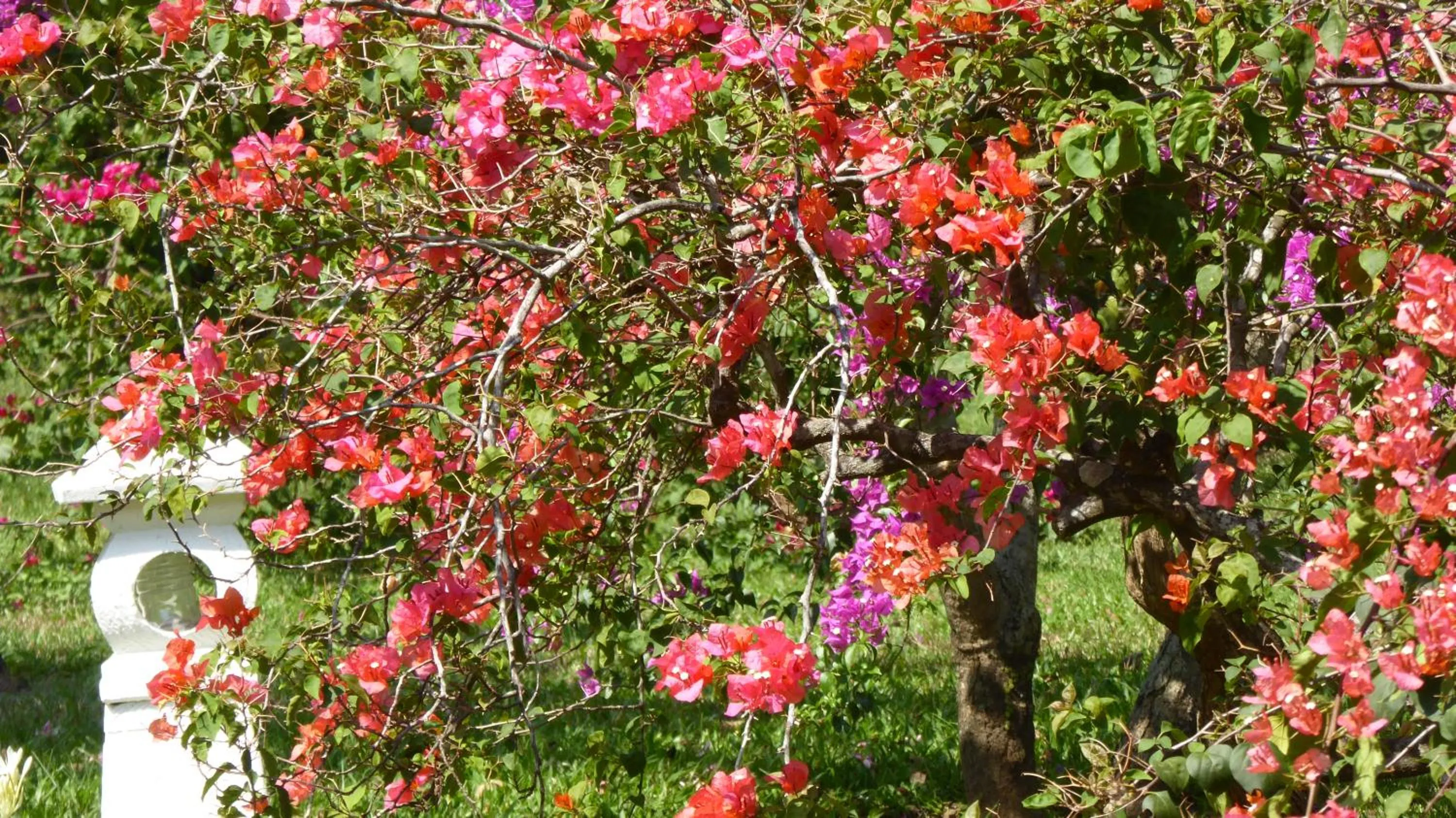 Natural landscape in Rumah Kita Villa/hotel