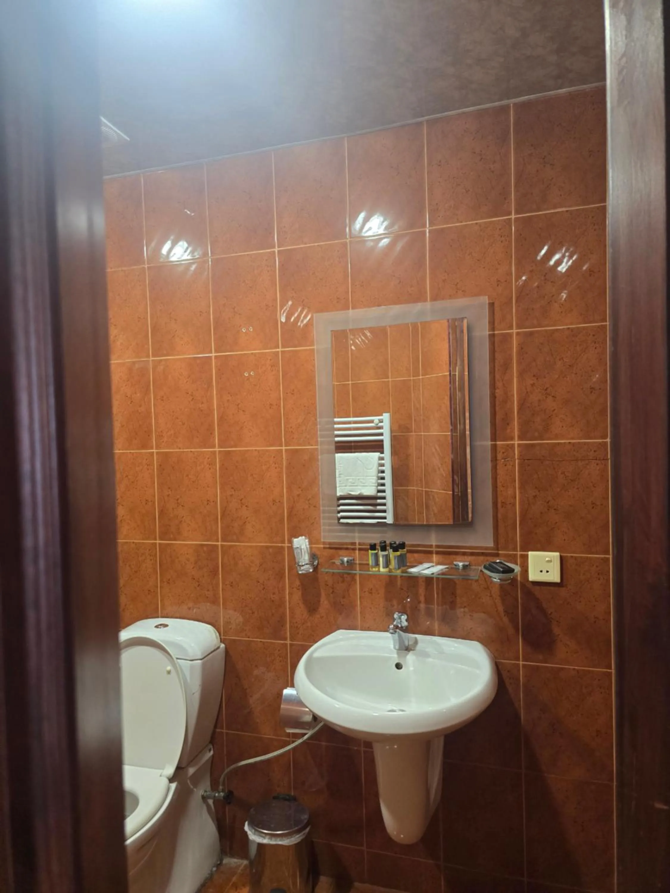 Toilet in Ritsa Boutique Hotel