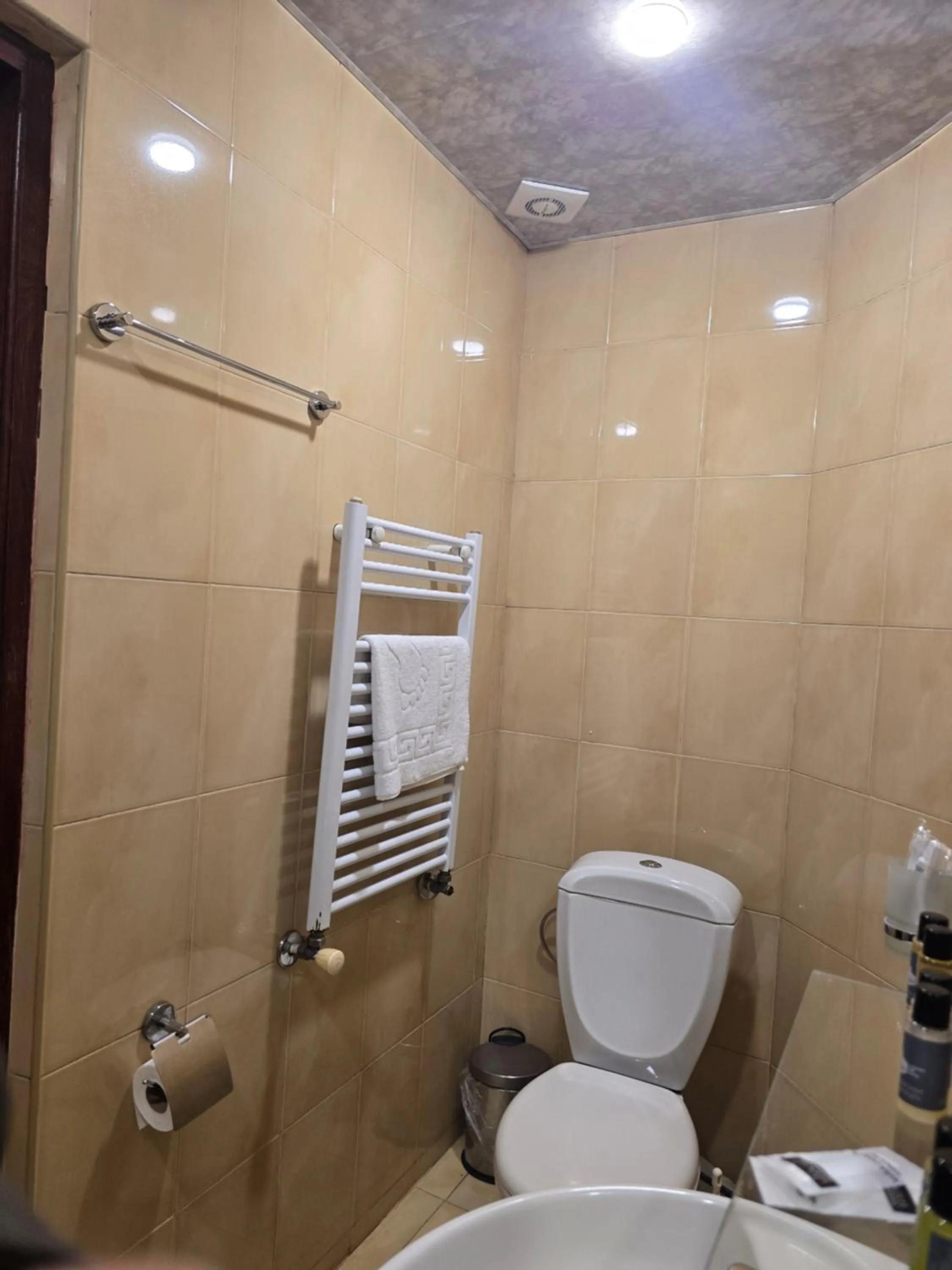 Toilet in Ritsa Boutique Hotel