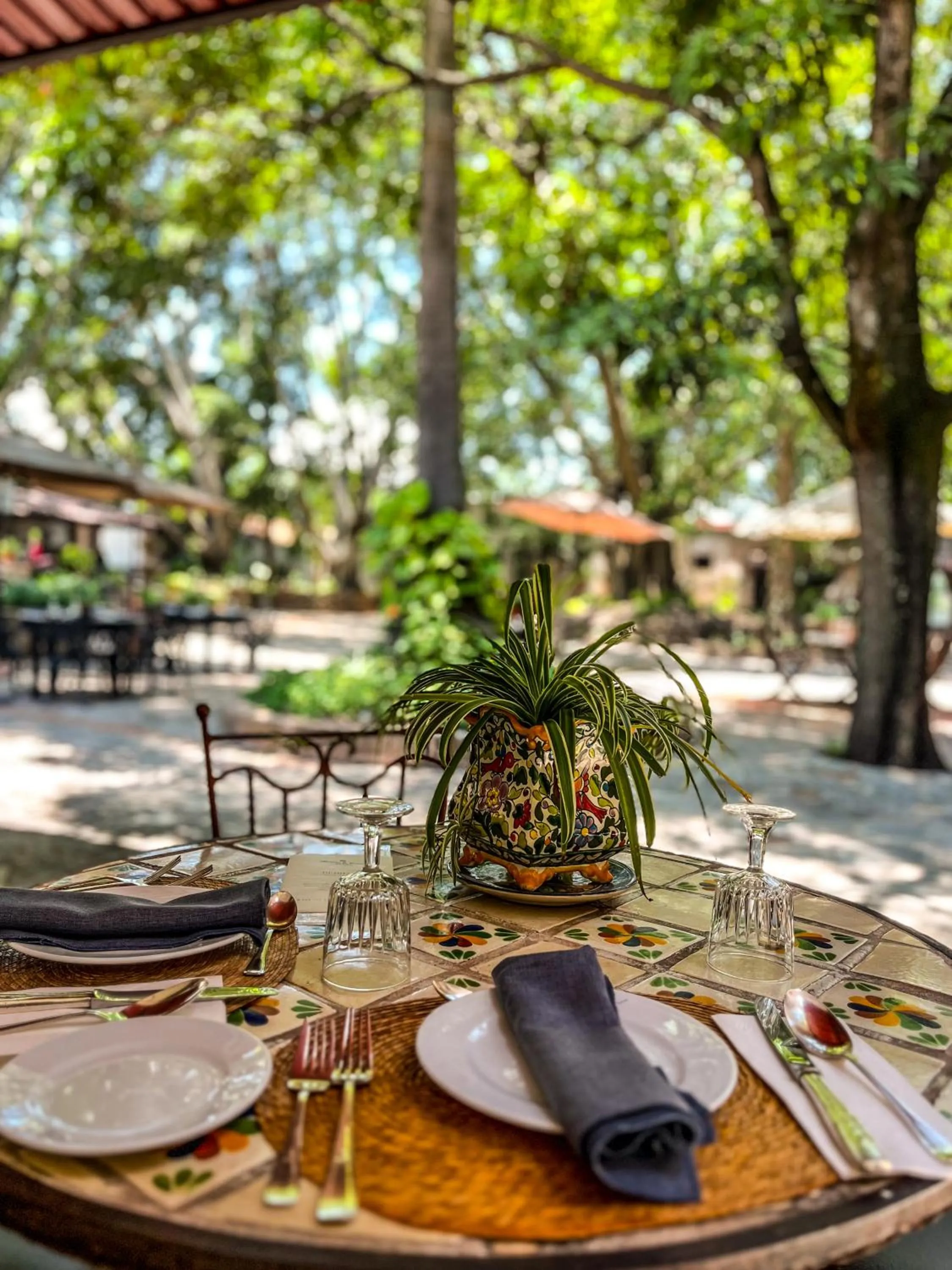 Restaurant/places to eat in Hacienda El Carmen Hotel & Spa