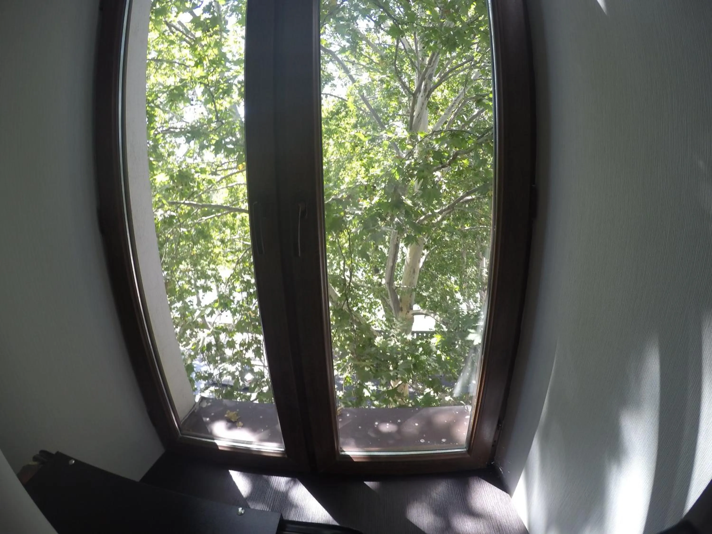 River view in Hotel Imaginarium