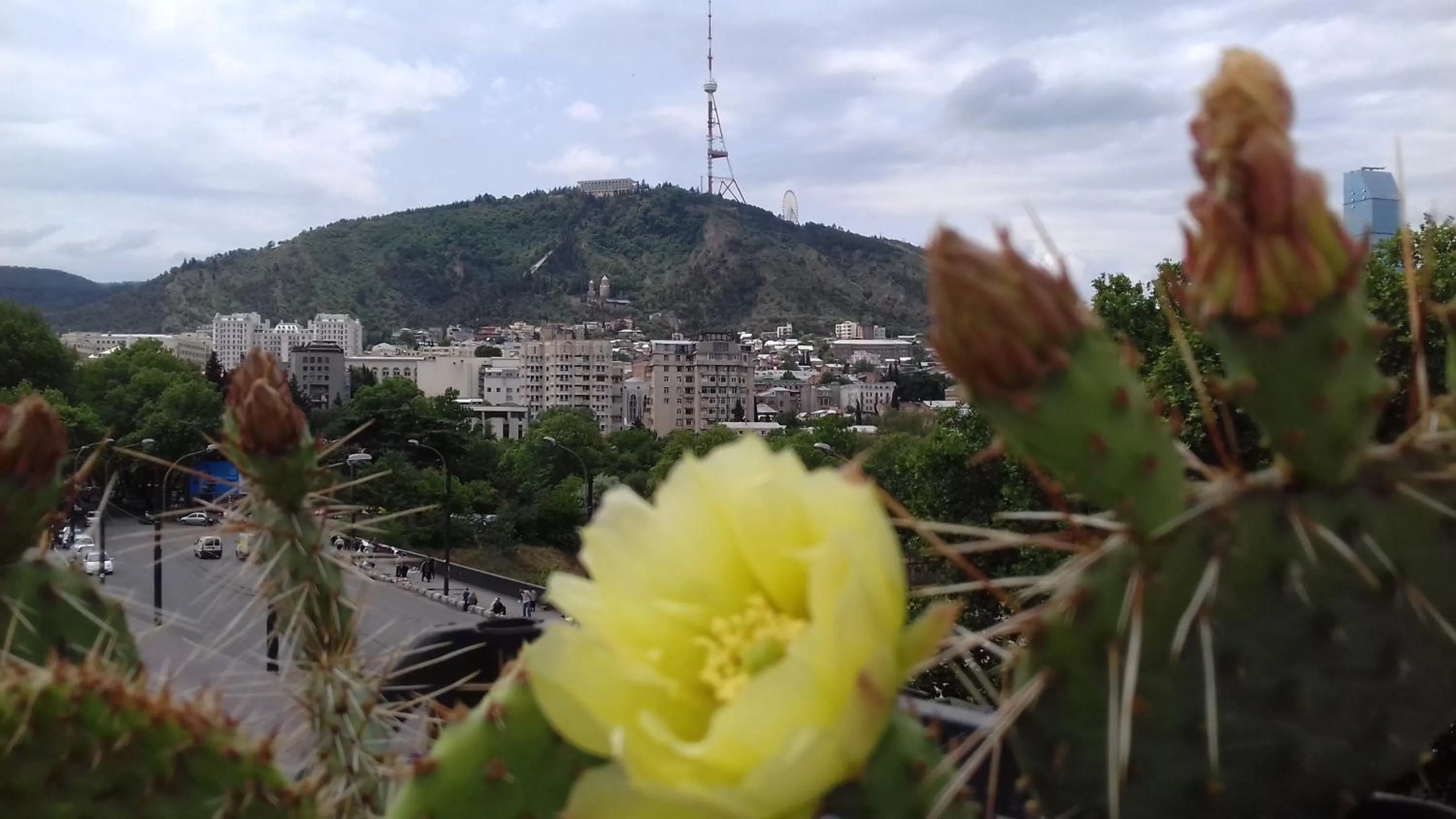 Day in Hotel Imaginarium