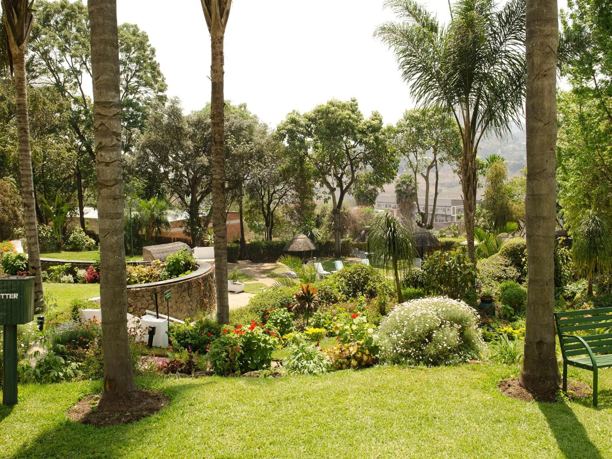 Spring in Sunbird Mount Soche