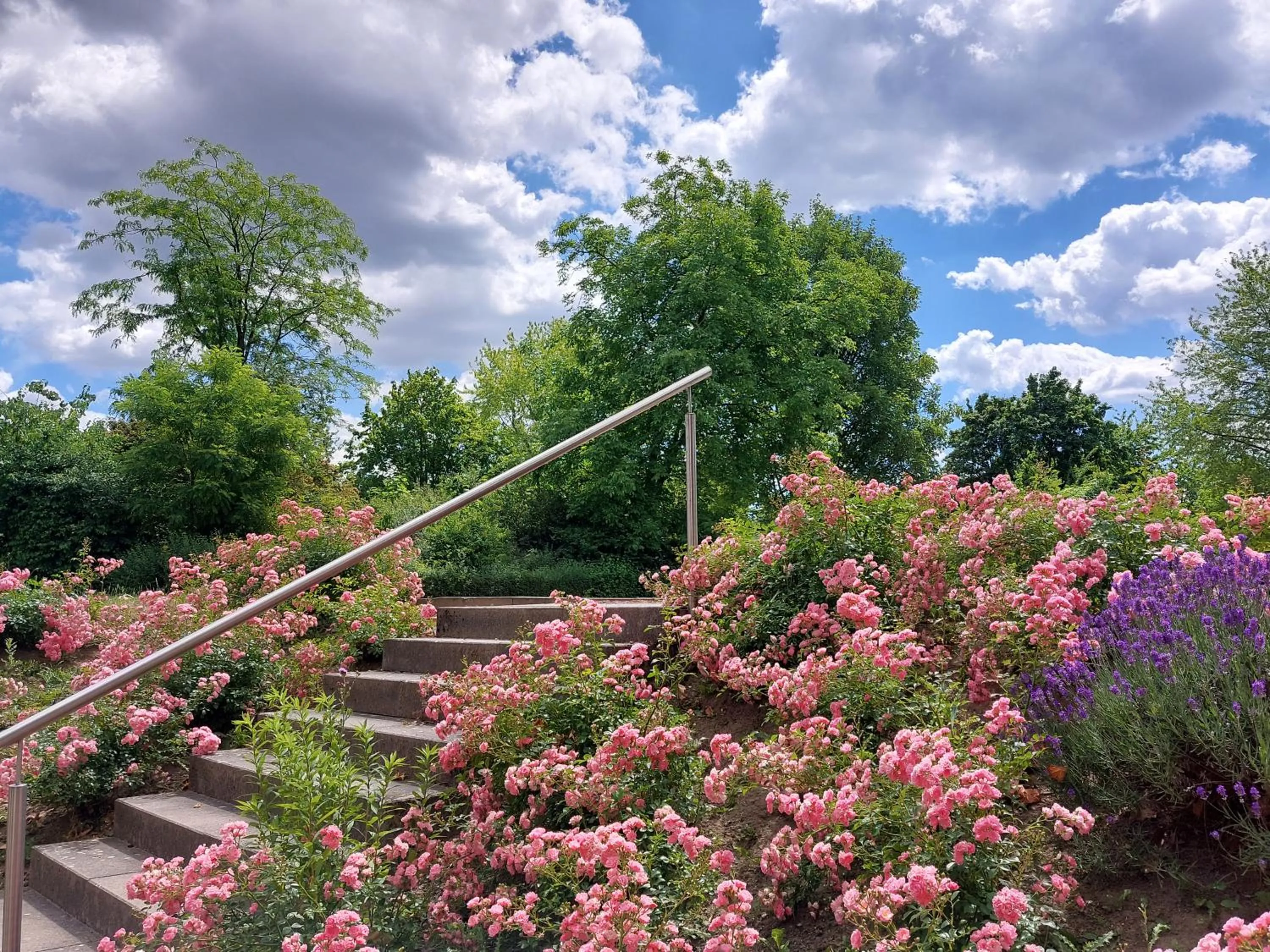 Spring in Heinrich Pesch Hotel
