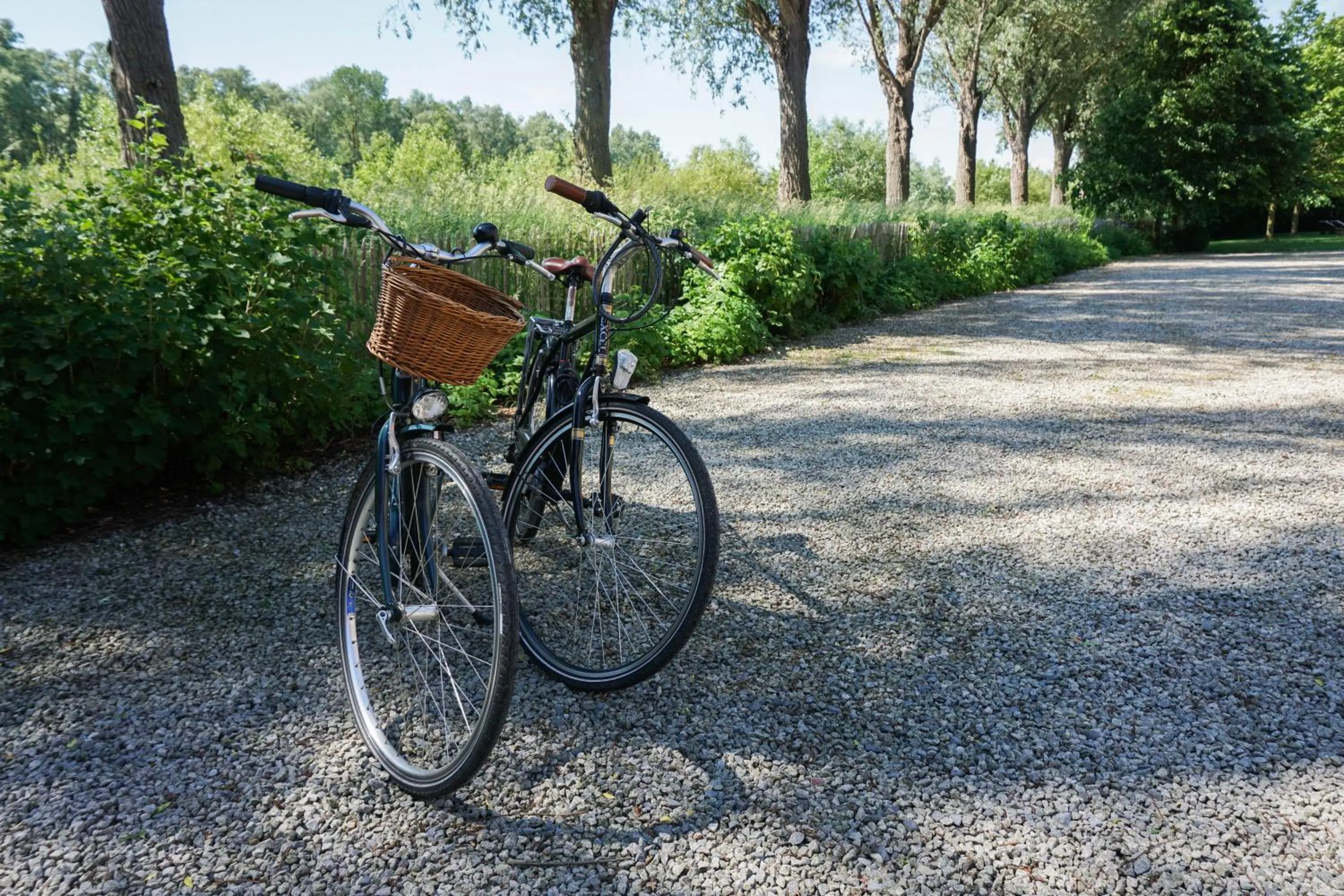 Activities in B&B Scheldekant