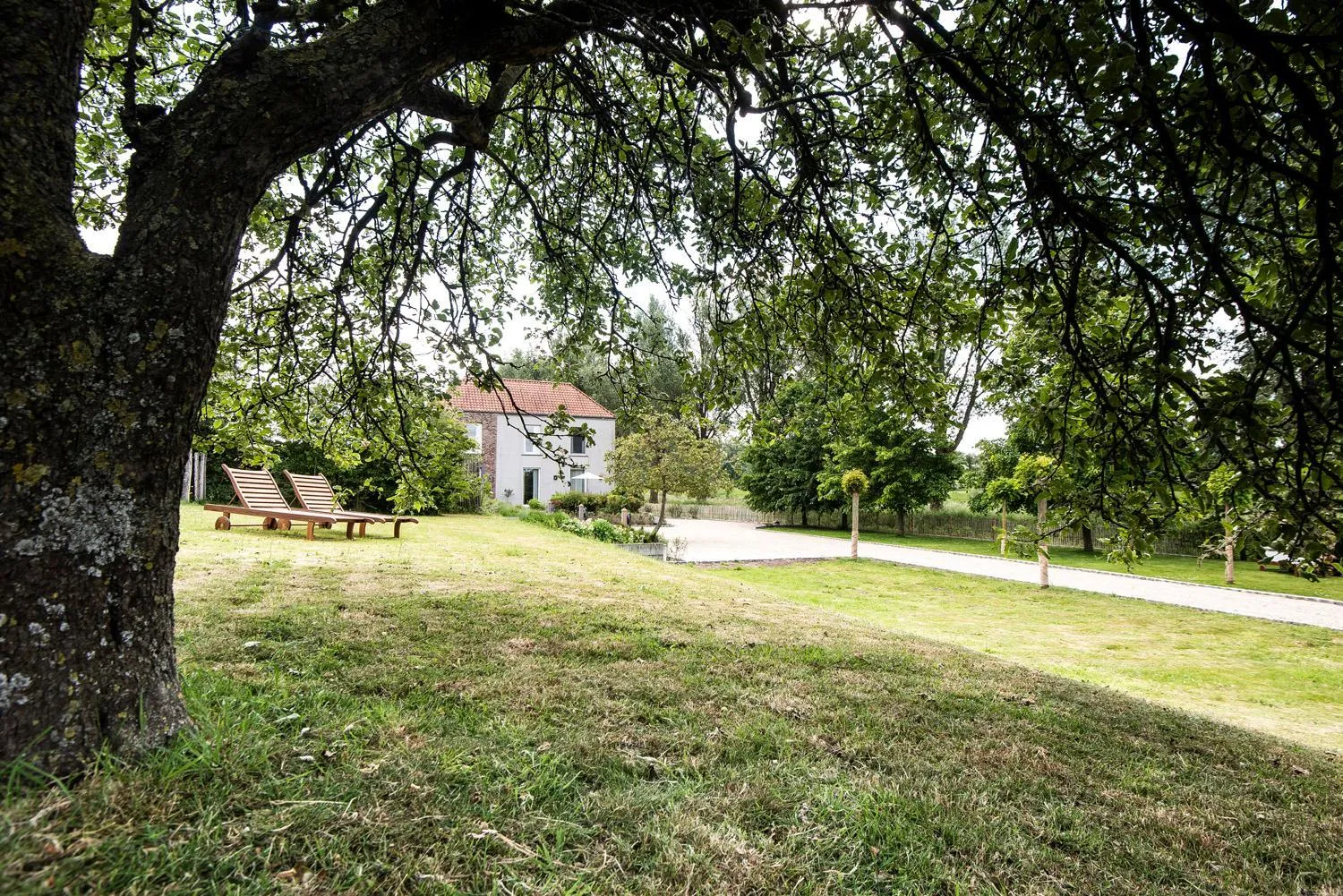 Natural landscape in B&B Scheldekant