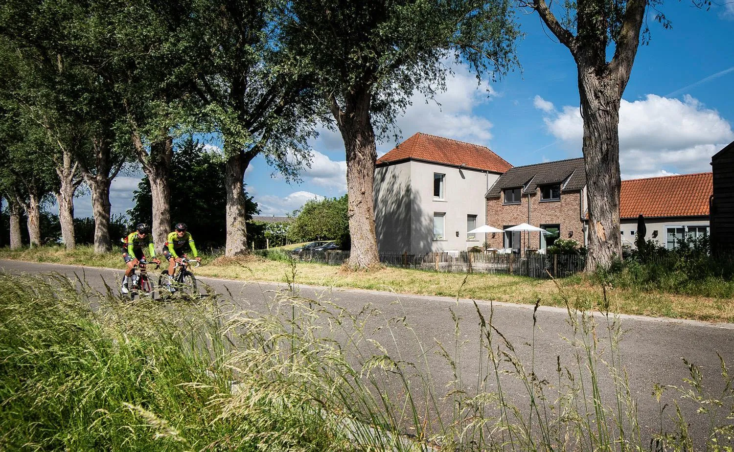 Garden view in B&B Scheldekant