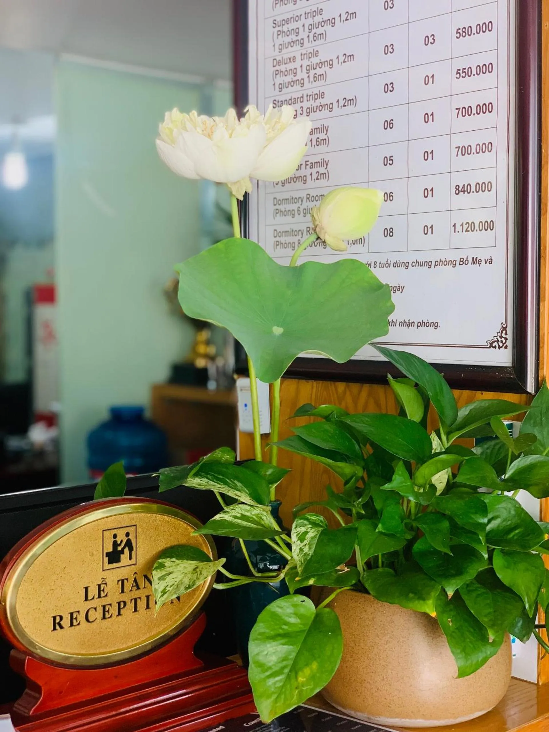 Communal lounge/ TV room in Sen Trang Hotel