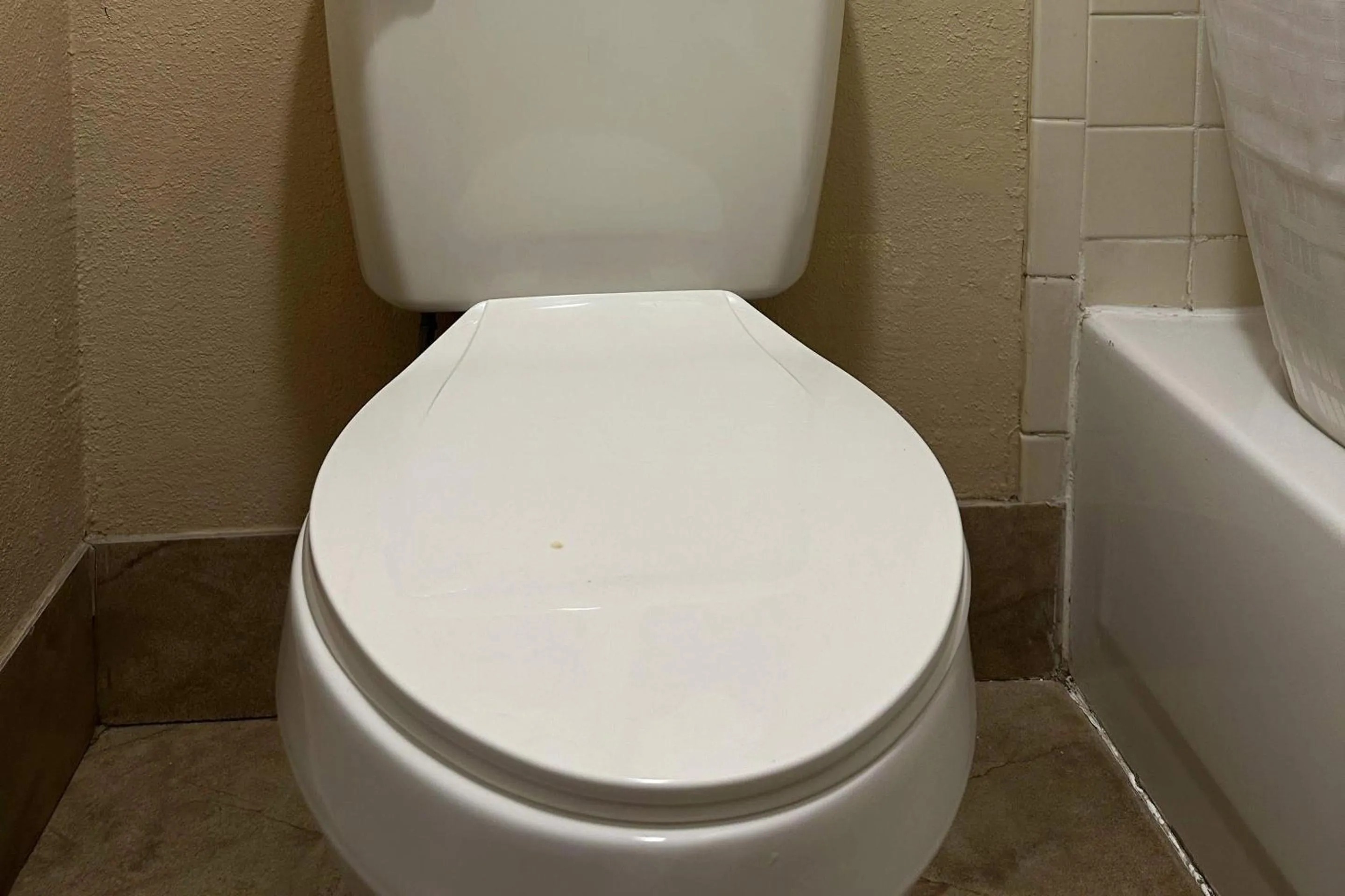 Bedroom in Rodeway Inn Bushnell