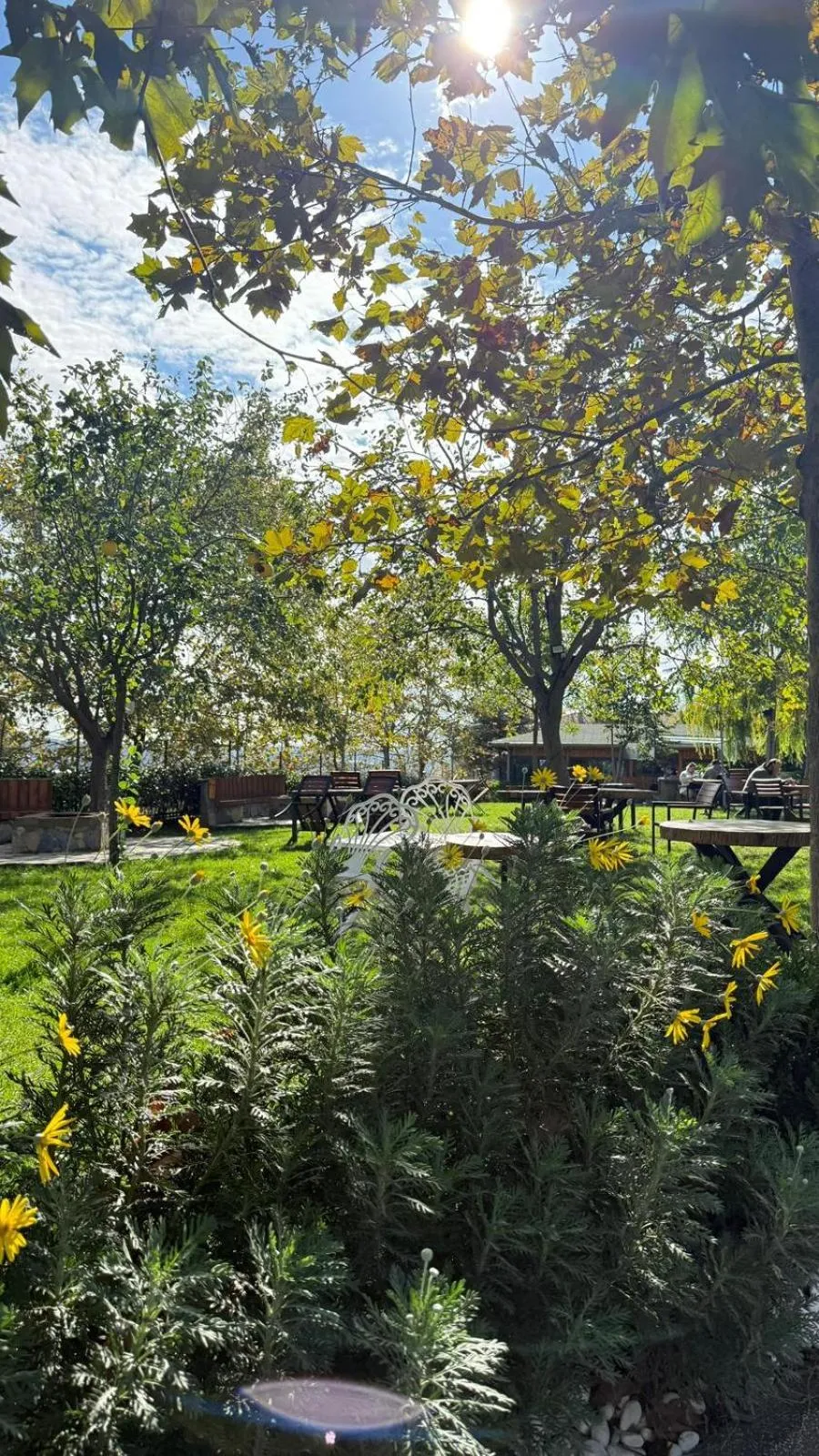 Navy Inn & Bungalows